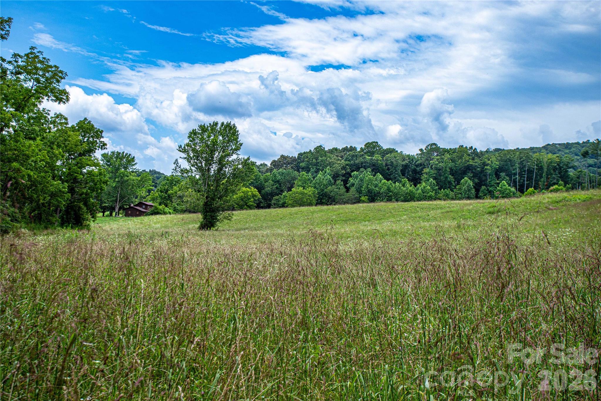 Gentle topography ideal for building or livestock - 132 Hurd Road, Canton