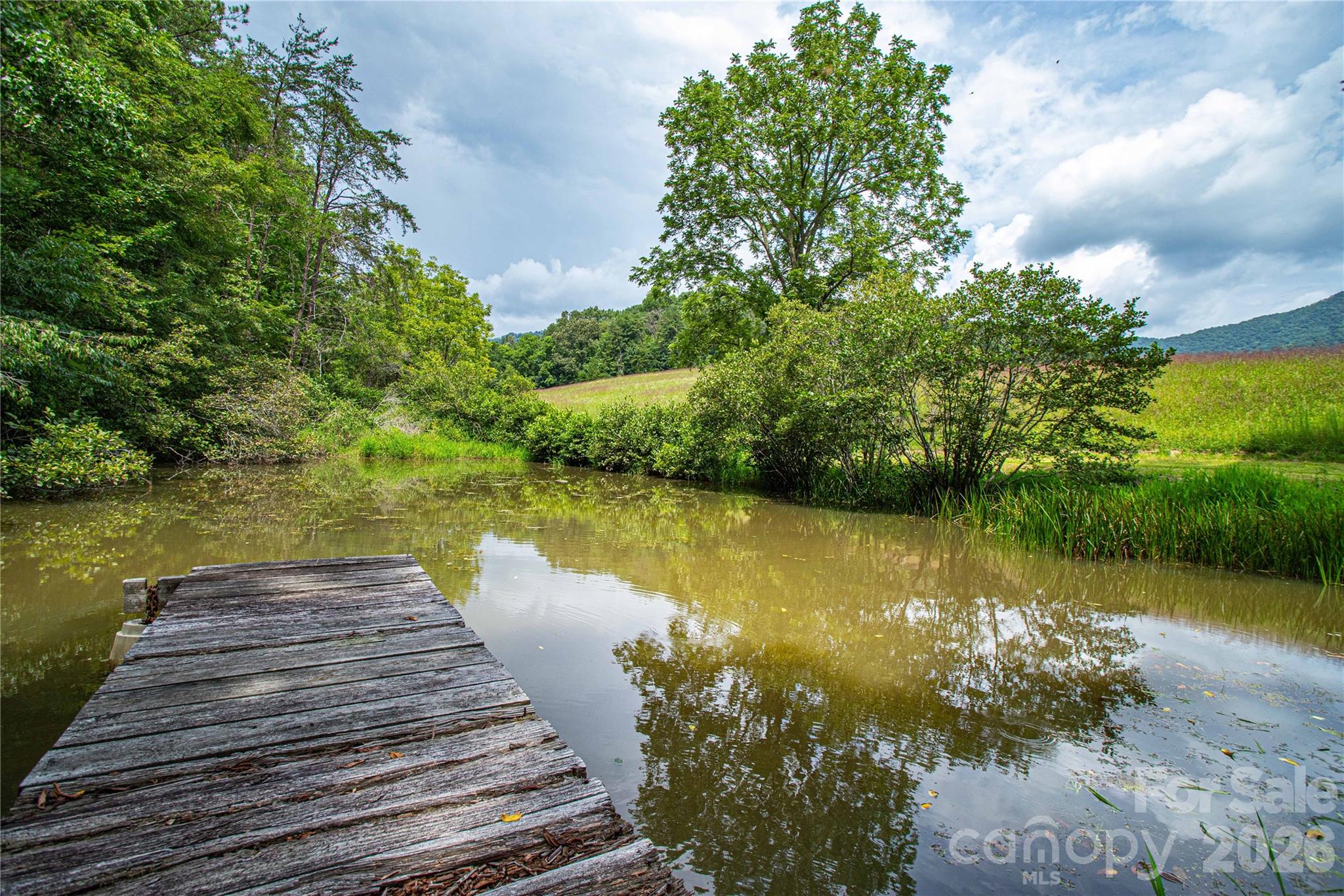 Spring fed pond - 132 Hurd Road, Canton