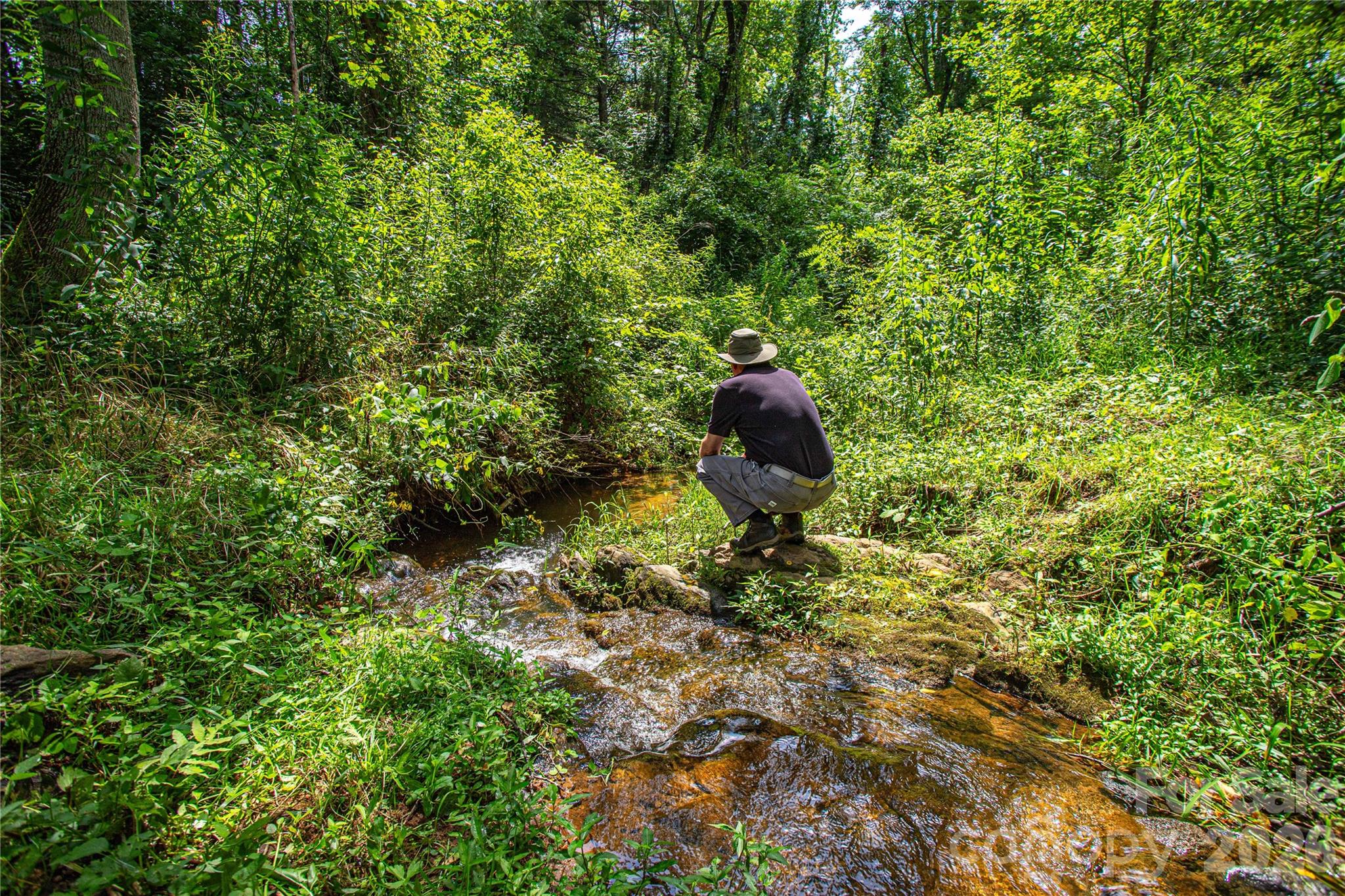One of two creeks on the property - 132 Hurd Road, Canton