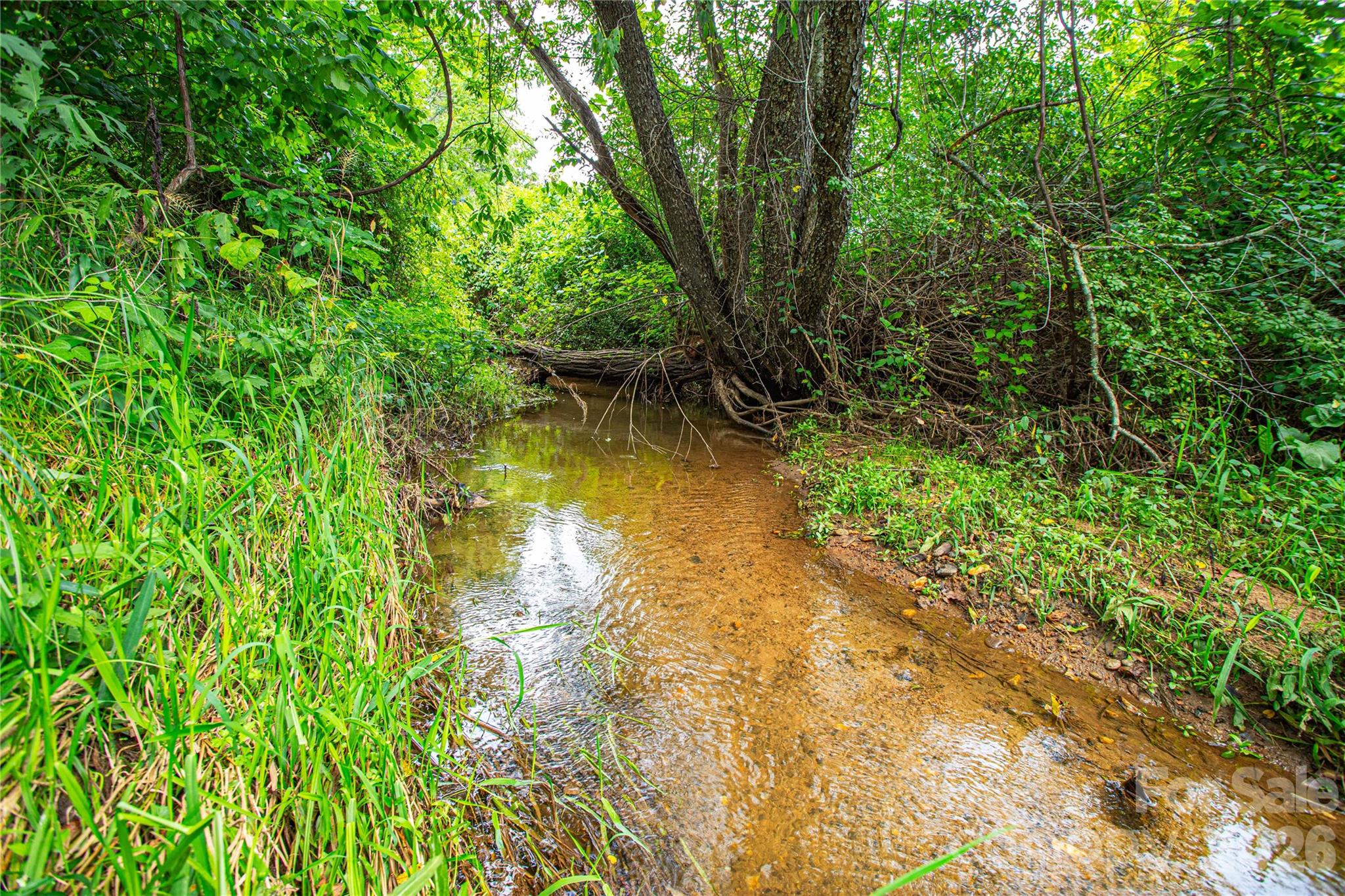 One of two creeks on the property - 132 Hurd Road, Canton