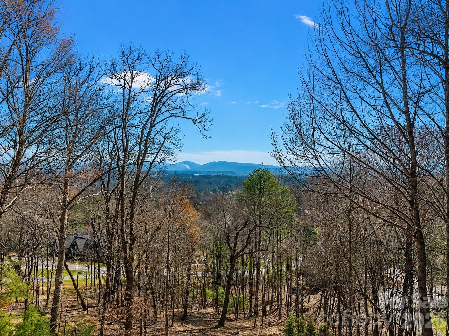 Winter Views from the back deck - 1105 High Vista Drive, Mills River