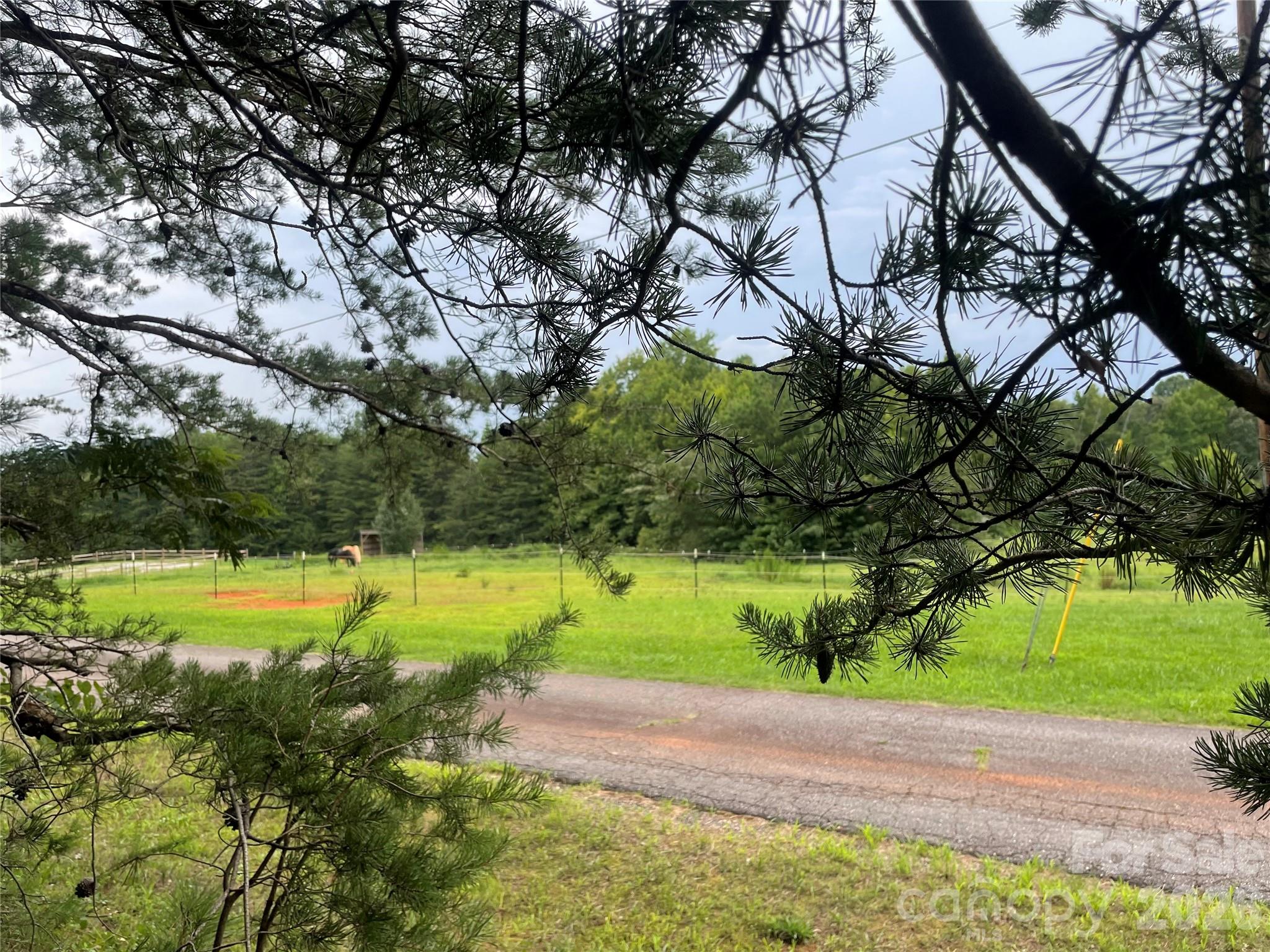 View from the wooded property toward the surrounding countryside. - 01 Fishermans Lane, Maiden
