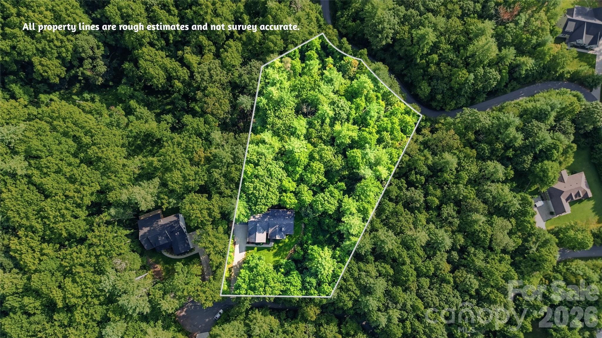Aerial View of Approximate Property Boundaries - 72 Summer Shade Court, Hendersonville
