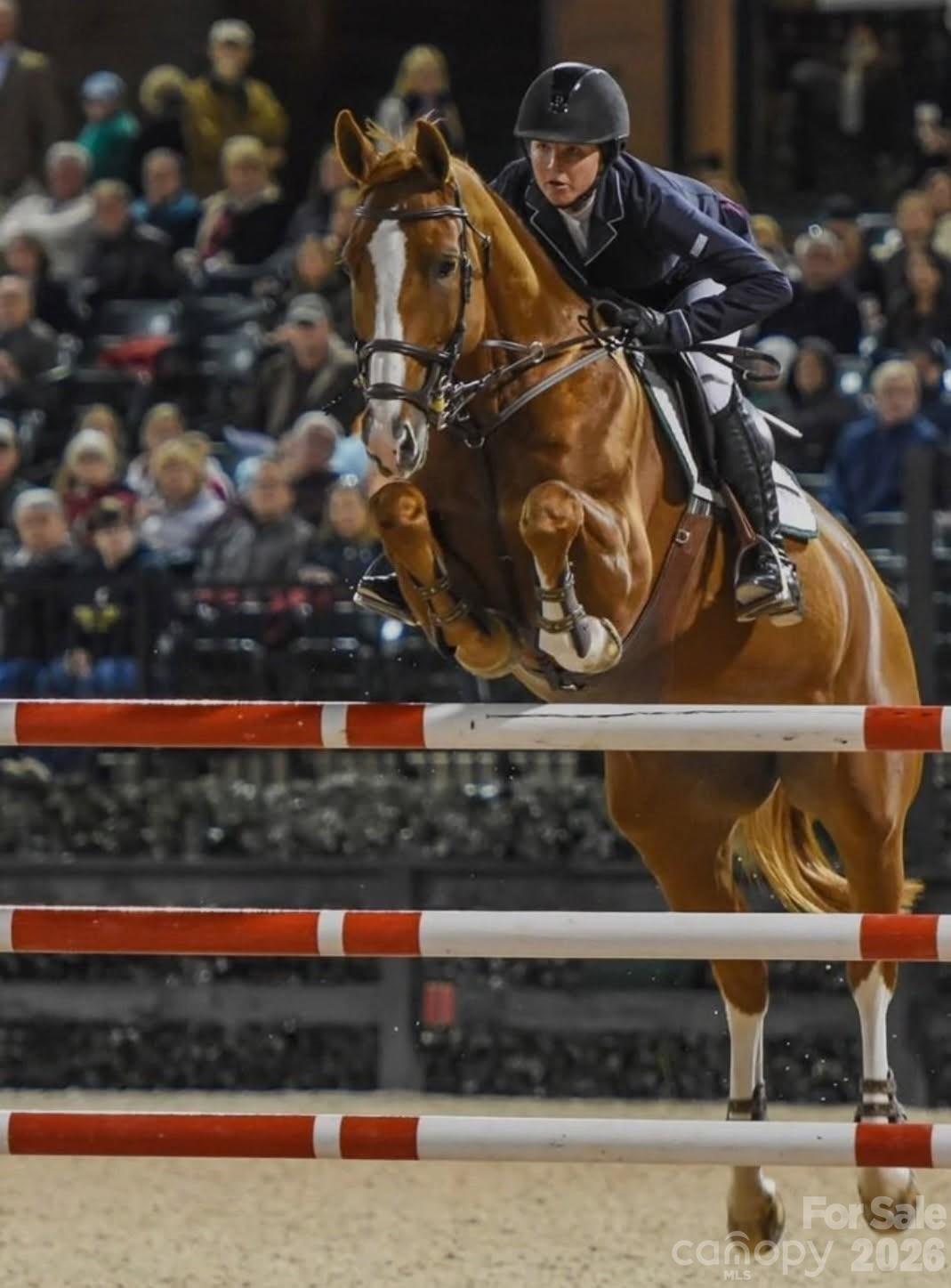 Tryon International Equestrian Center or TIEC.! Come for the thrills! - 98 Lexxi Lane, Tryon
