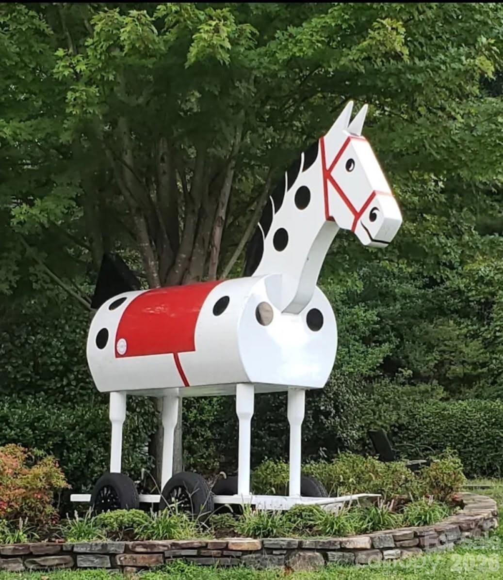 Both nearby towns, Columbus and Tryon, have plenty of groceries, hardware stores, shops, galleries and restaurants to choose from! Morris, the Downtown Horse, in Tryon, has quite the interesting history! - 98 Lexxi Lane, Tryon