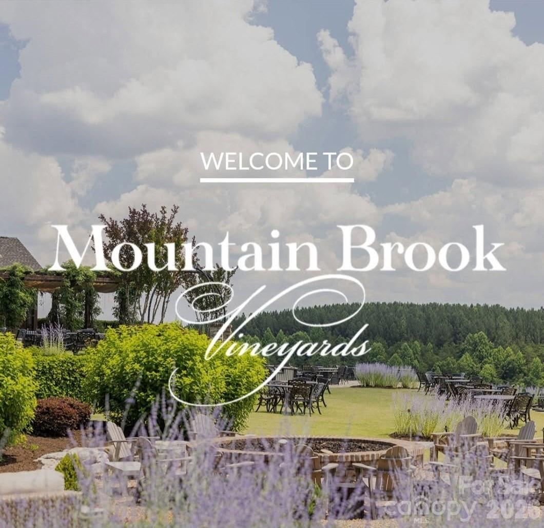 Mountain Brook Vineyards is right in the middle of the hills of Polk County. A very short distance from Lexxi Lane. Explore the grounds and enjoy their various festivities throughout the year.! - 98 Lexxi Lane, Tryon