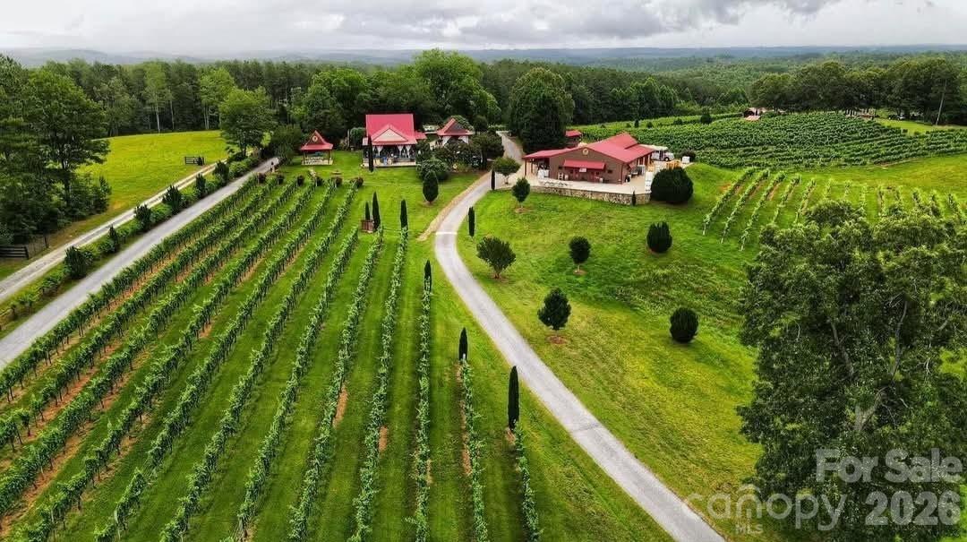 OverMountain Vineyards is a very short from Lexxi Lane. Explore the grounds and enjoy their various festivities throughout the year.! - 98 Lexxi Lane, Tryon