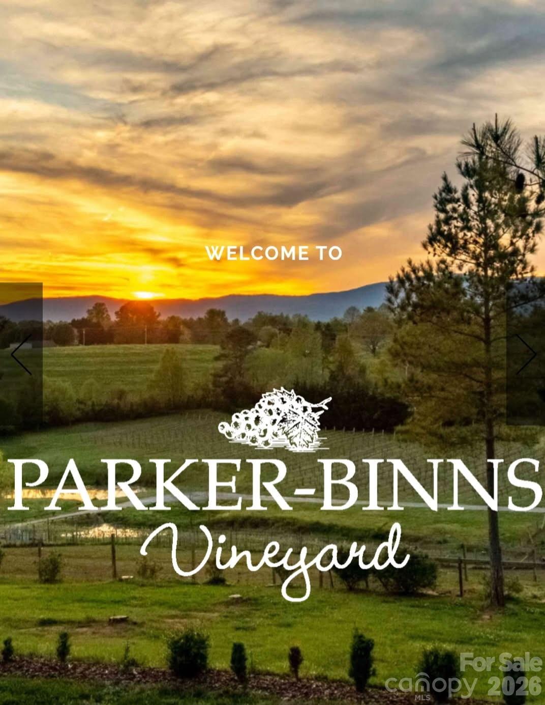 Parker-Binn Vineyard is a very short from Lexxi Lane. Explore the grounds and enjoy their sunsets and various festivities throughout the year.! - 98 Lexxi Lane, Tryon