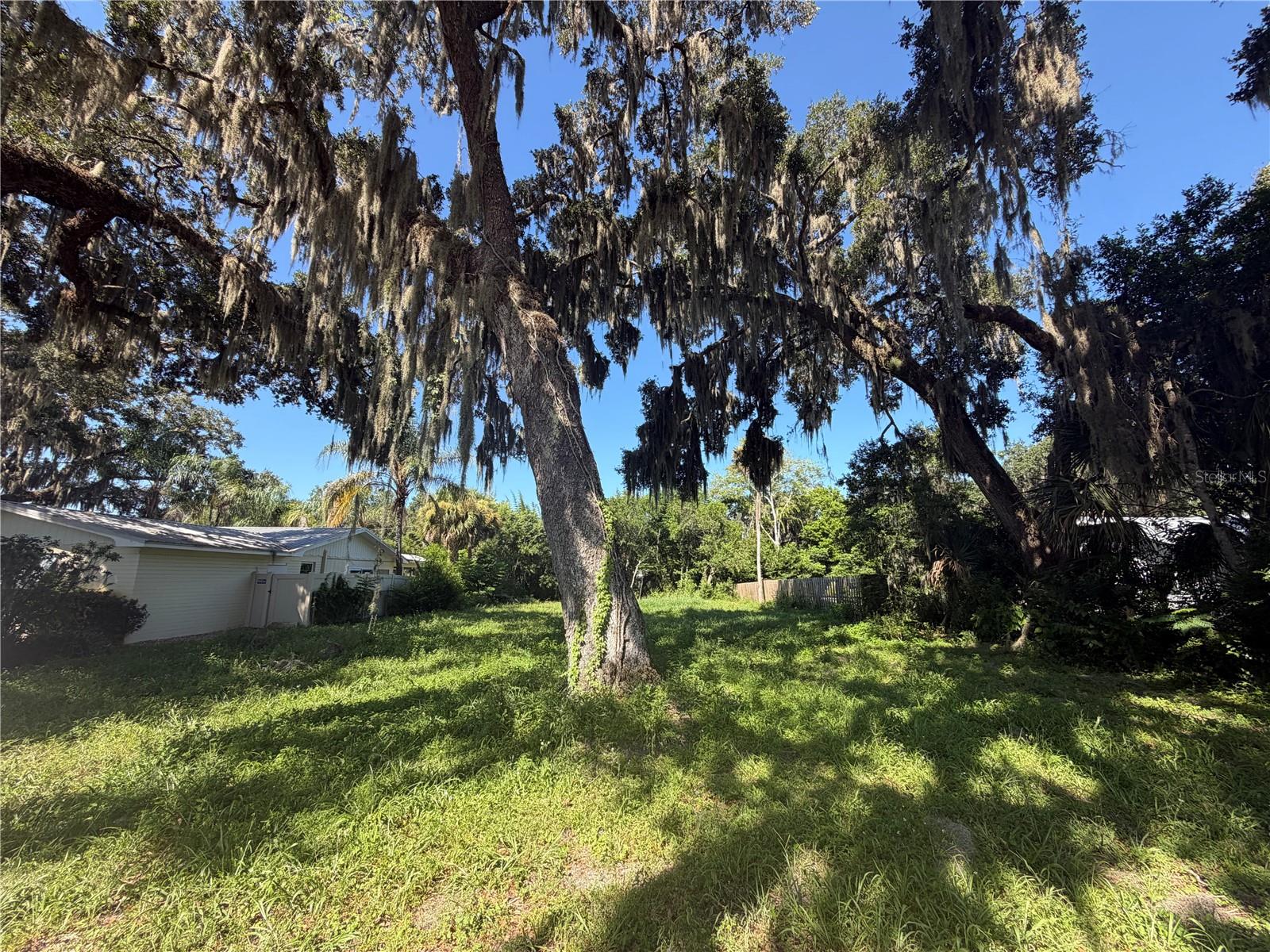1308 LIVE OAK ST