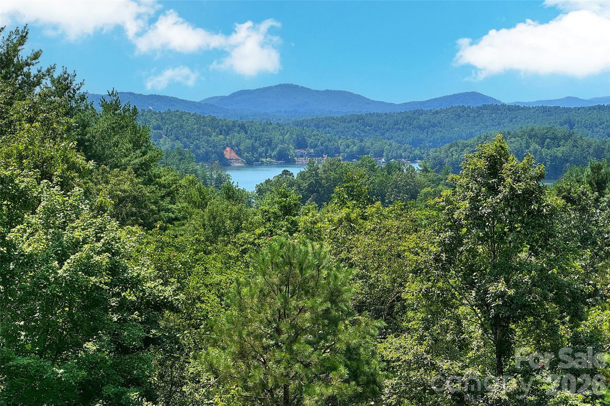 Aerial toward the Linville Gorge skyline - 207 Lake Crest Drive, Nebo