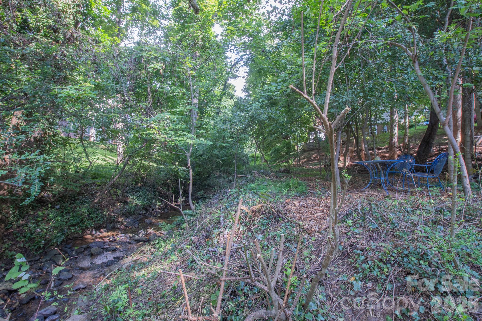 Creekfront lot between 2 parks - 99999 Rumbough Place, Asheville