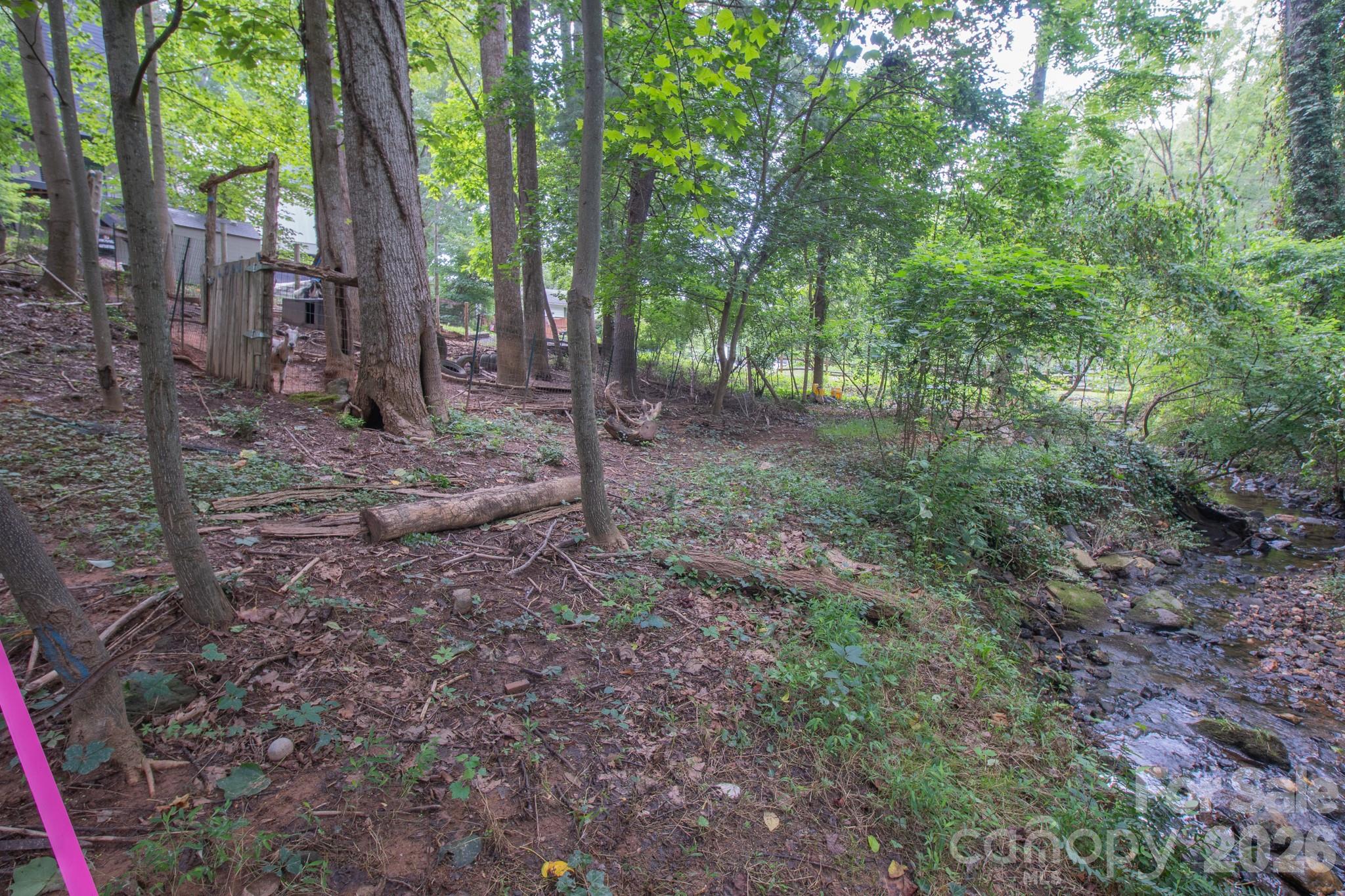 Wooded lot, creekfront lot. - 99999 Rumbough Place, Asheville