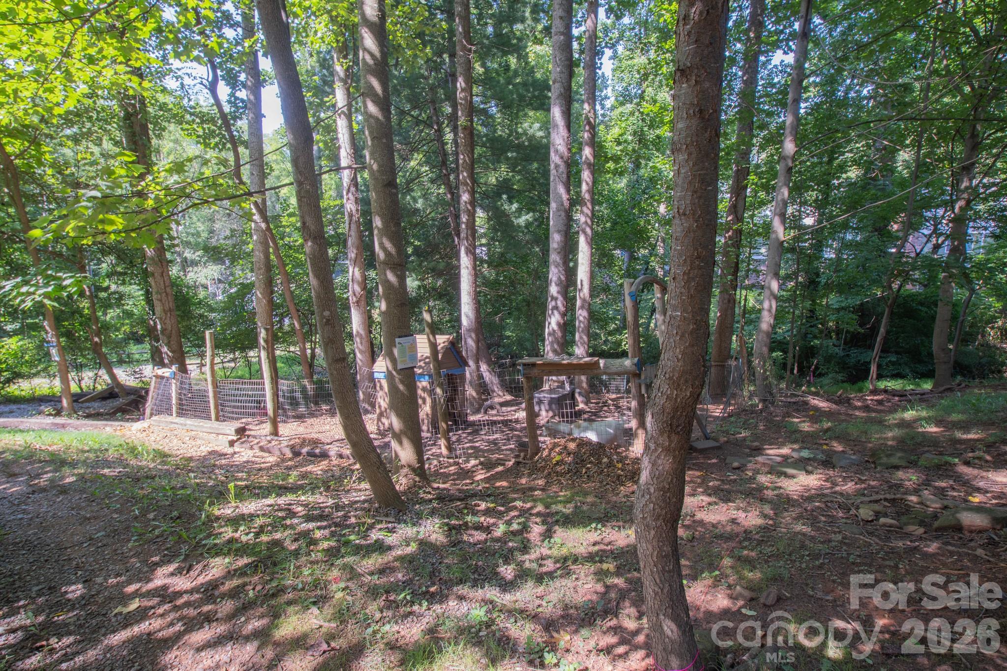 Goats, fencing and shed not included with the land. :) - 99999 Rumbough Place, Asheville