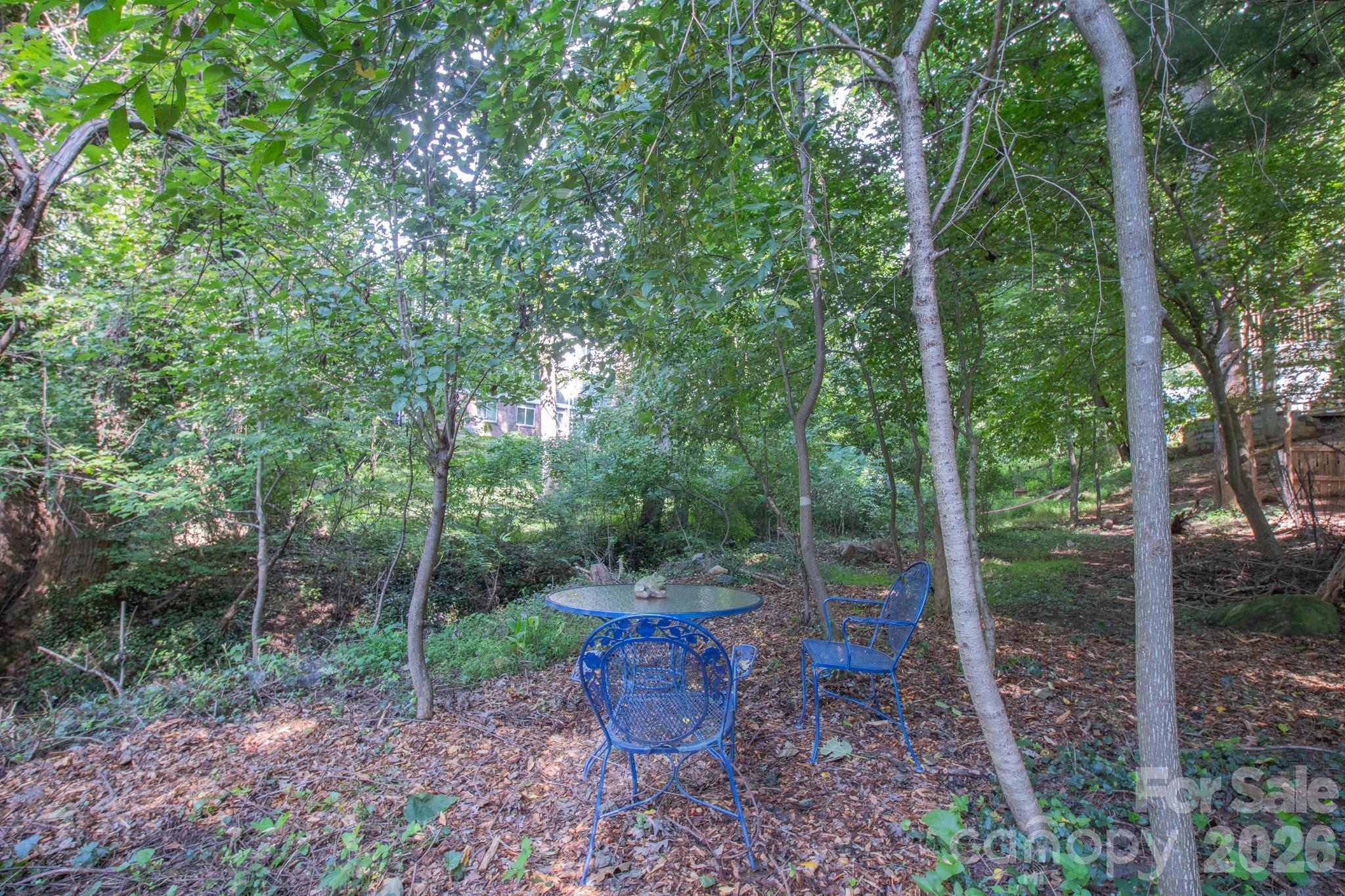Peaceful spot in the middle of the city in West Asheville - 99999 Rumbough Place, Asheville