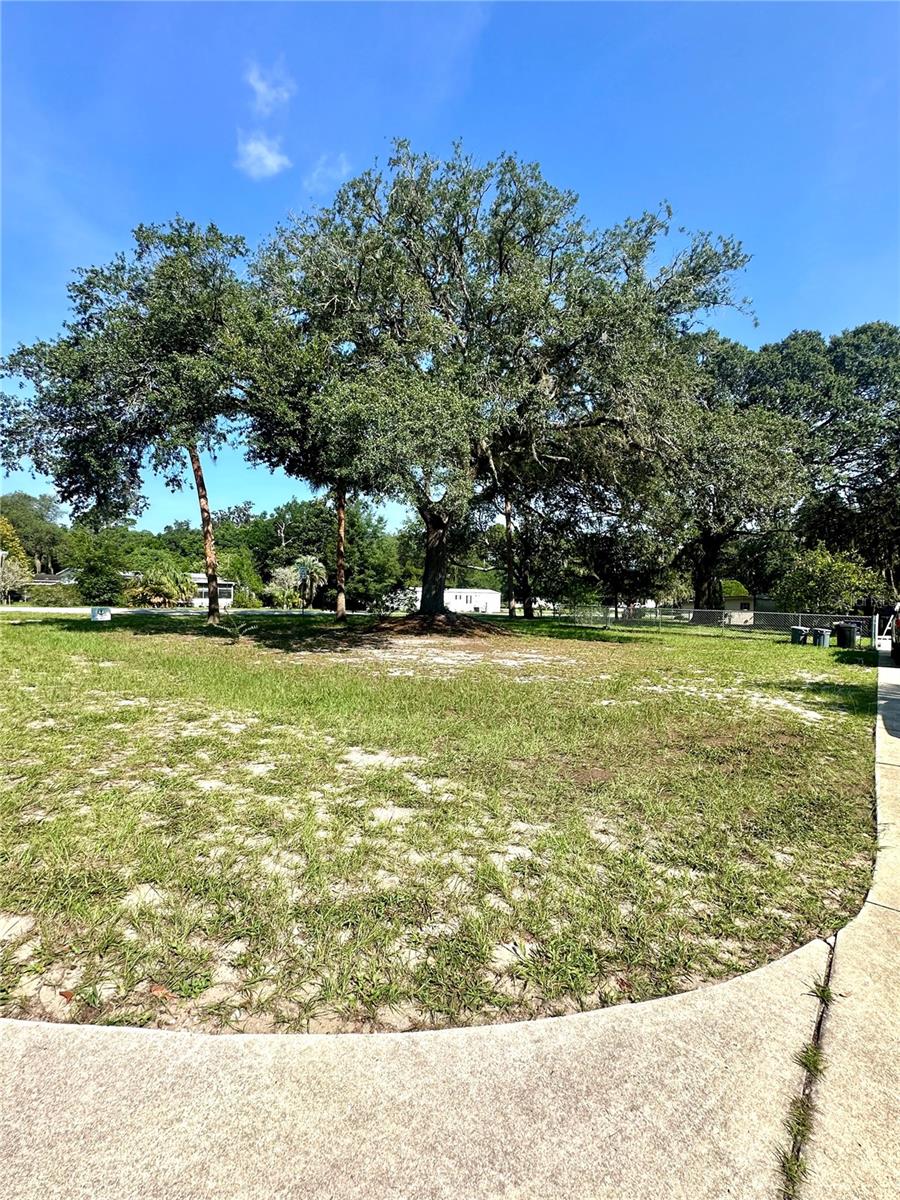 Side yard - 202 ASH ST, INTERLACHEN