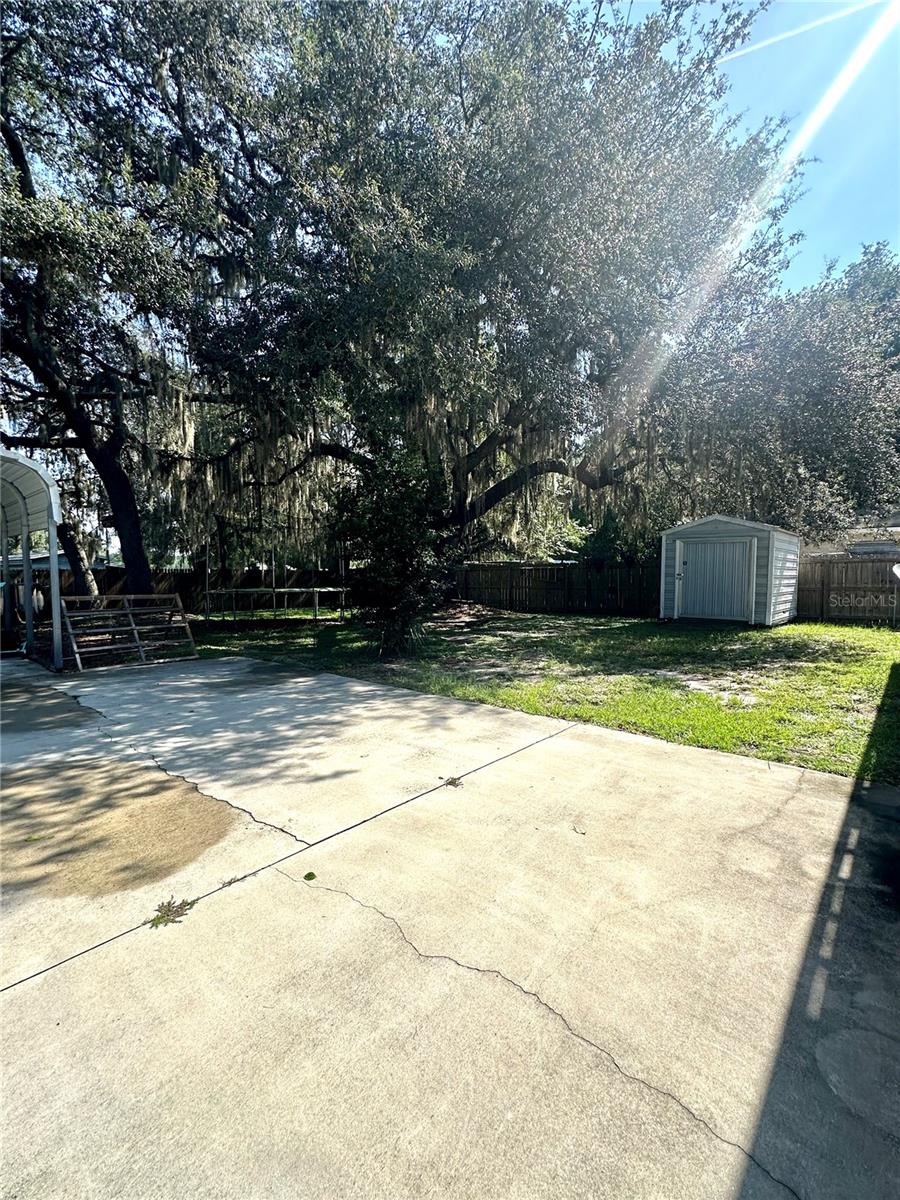 Back/shed - 202 ASH ST, INTERLACHEN