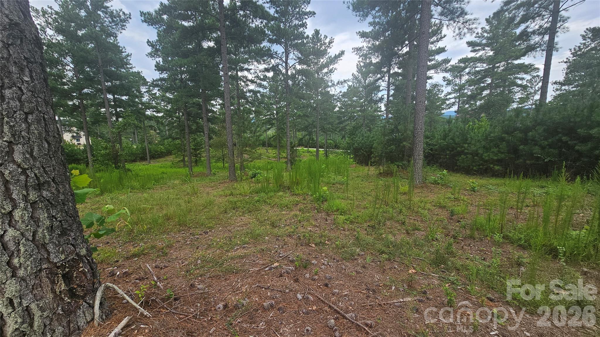 Acreage at 1884 Coveside Drive, Granite Falls, photo 3 of 10