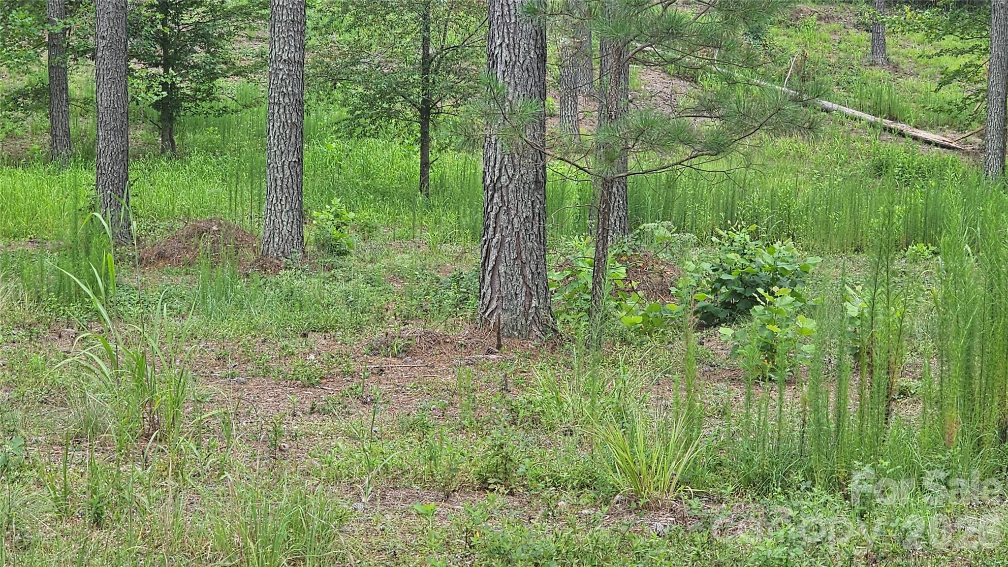 Acreage at 1884 Coveside Drive, Granite Falls, photo 4 of 10