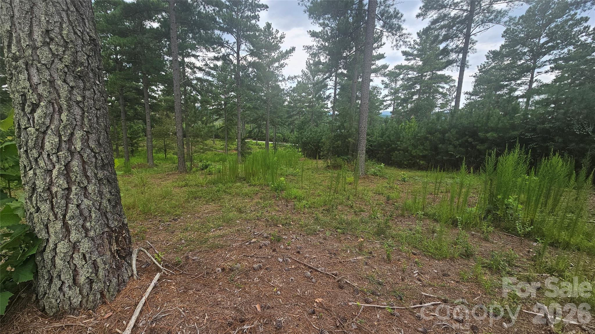 Acreage at 1884 Coveside Drive, Granite Falls, photo 5 of 10