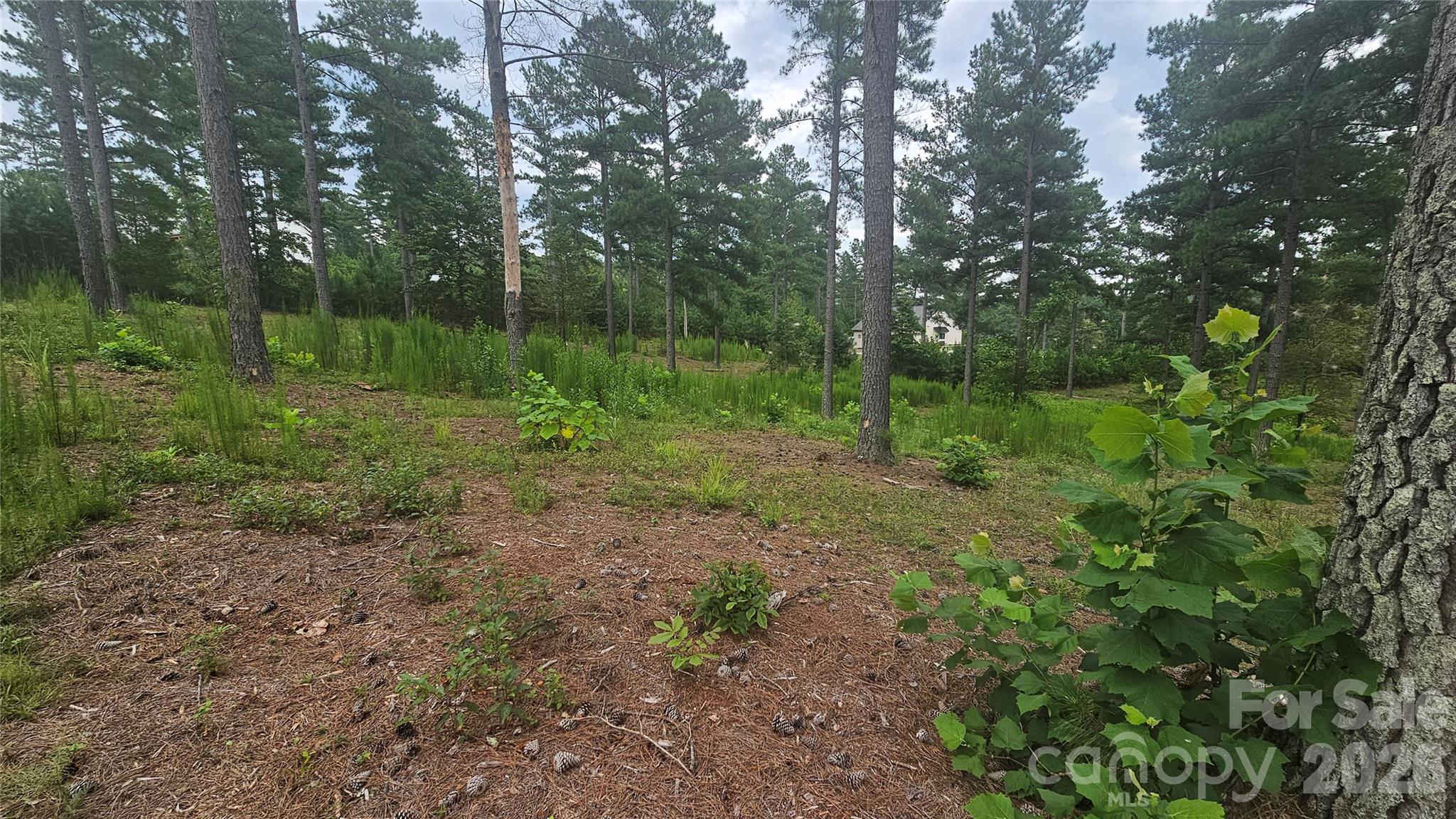 Acreage at 1884 Coveside Drive, Granite Falls, photo 6 of 10