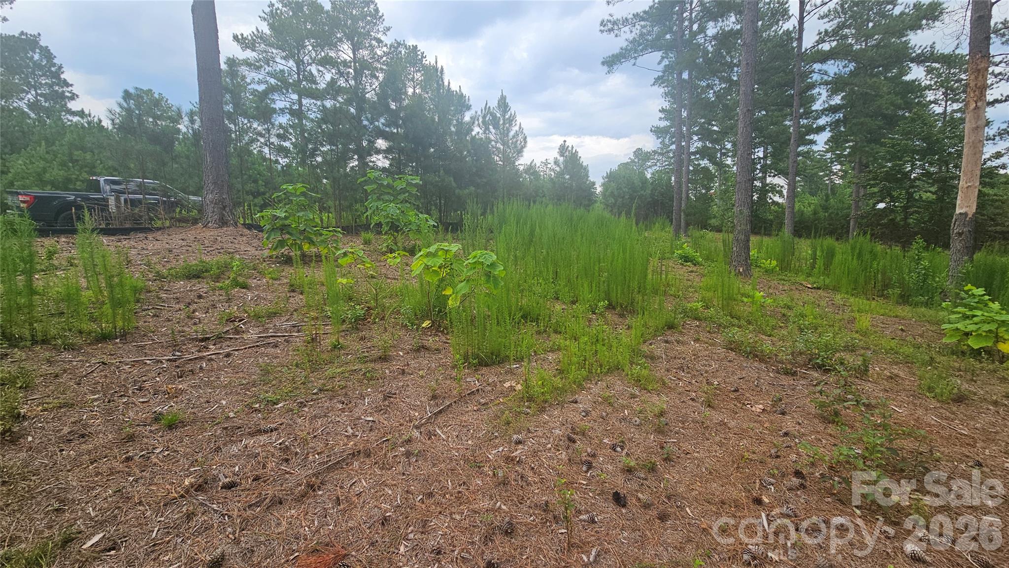 Acreage at 1884 Coveside Drive, Granite Falls, photo 7 of 10