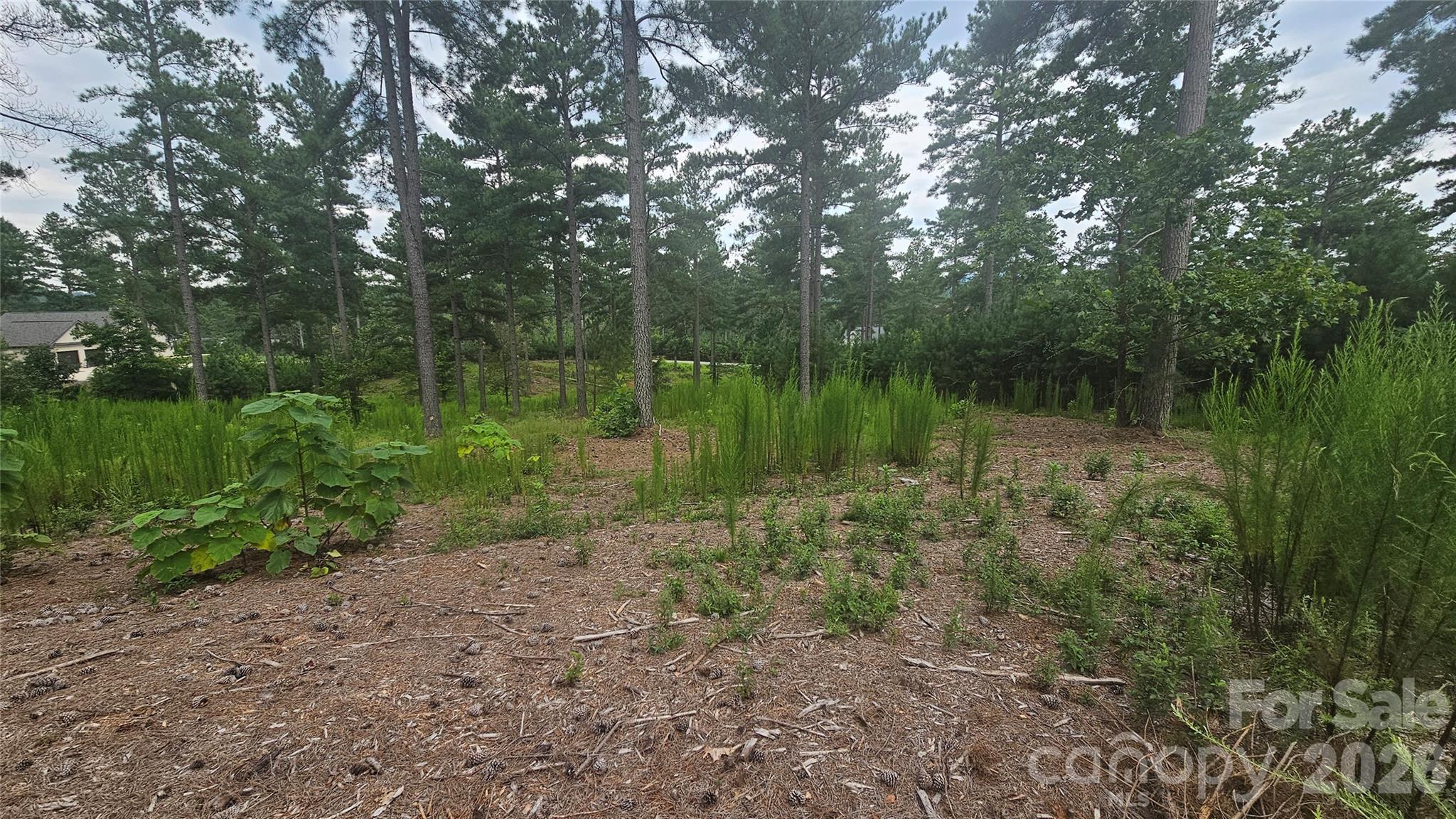 Acreage at 1884 Coveside Drive, Granite Falls, photo 8 of 10