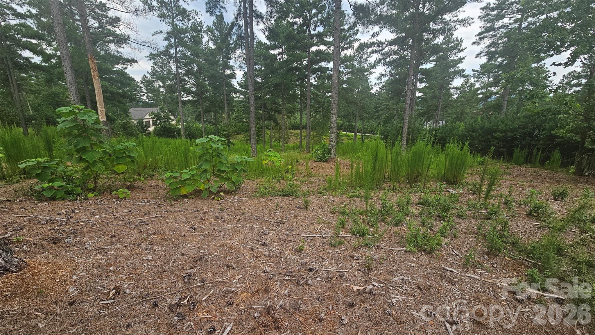 Acreage at 1884 Coveside Drive, Granite Falls, photo 9 of 10