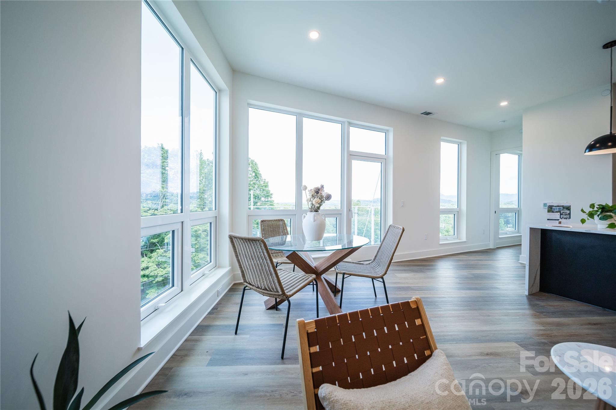 Condominium at 123 Haywood Street, Asheville, photo 6 of 31