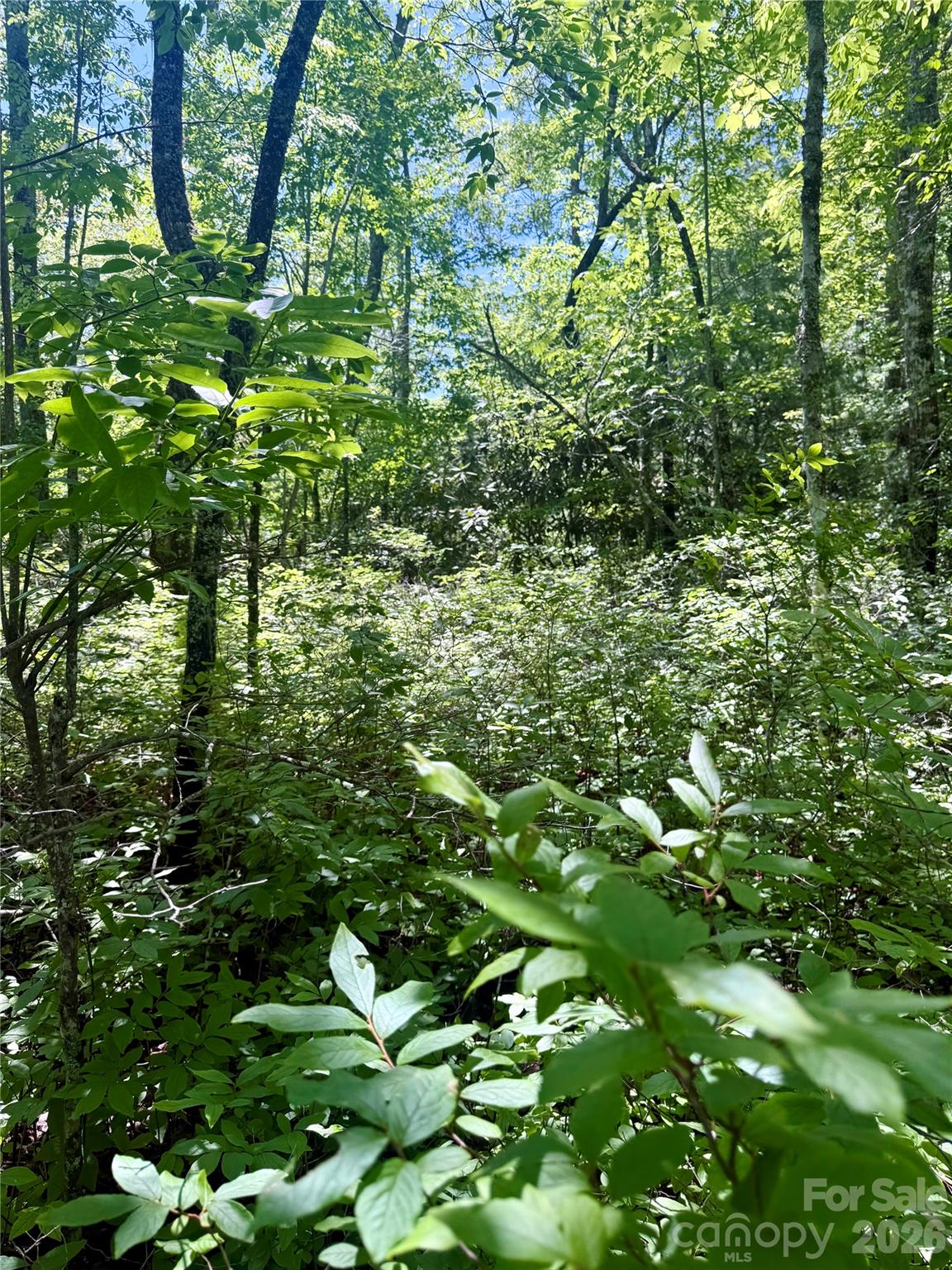 Lot at TBD Indian Lake Road, Lake Toxaway