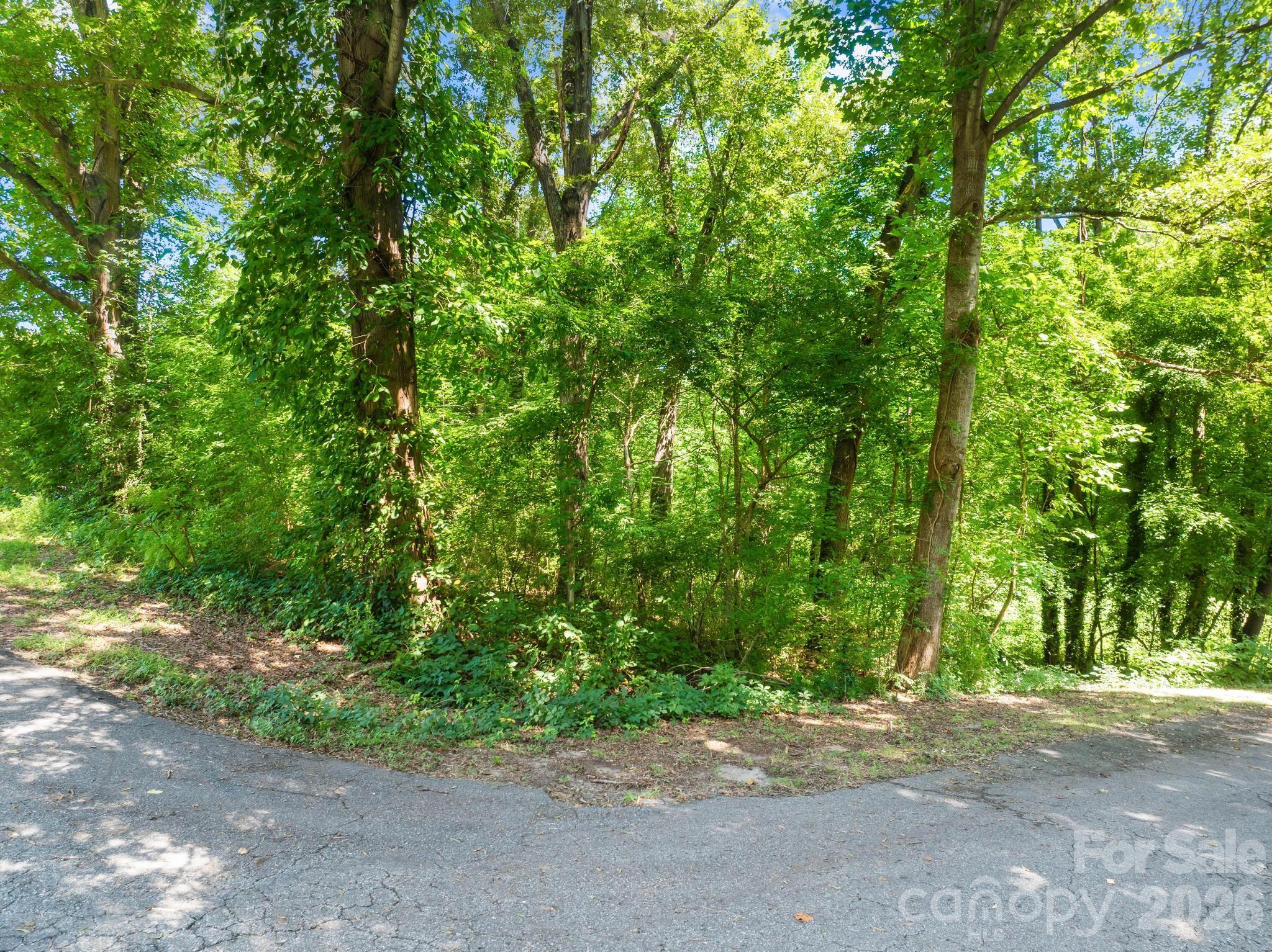 Lot at 0 Northmont Drive, Statesville, photo 4 of 19