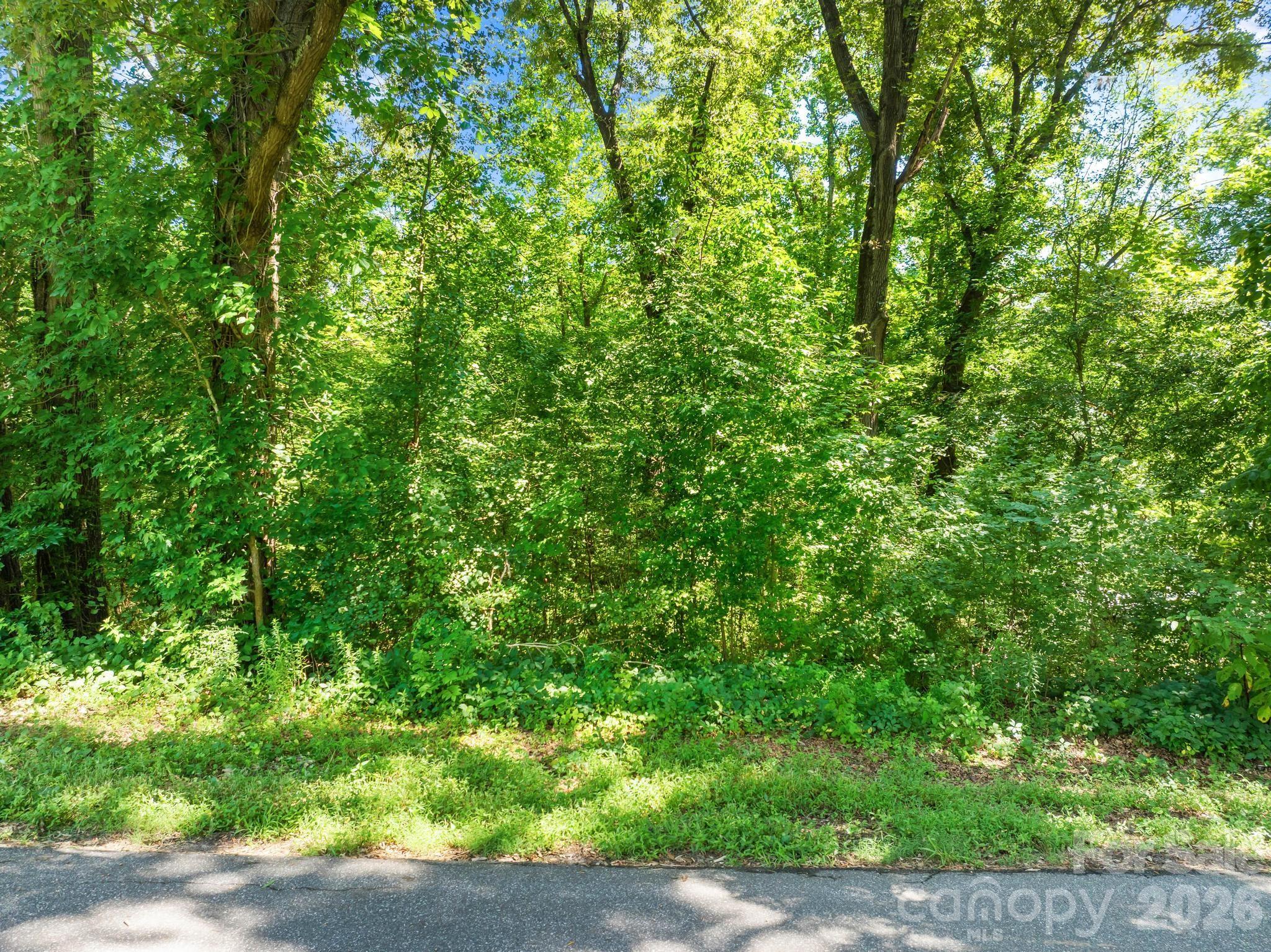 Lot at 0 Northmont Drive, Statesville, photo 11 of 19