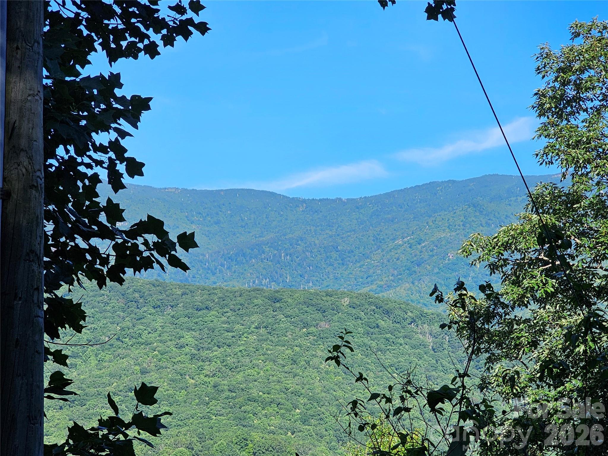 VIEW FROM NEIGHBORING PROPERTY - 102 Big Ridge Road, Burnsville