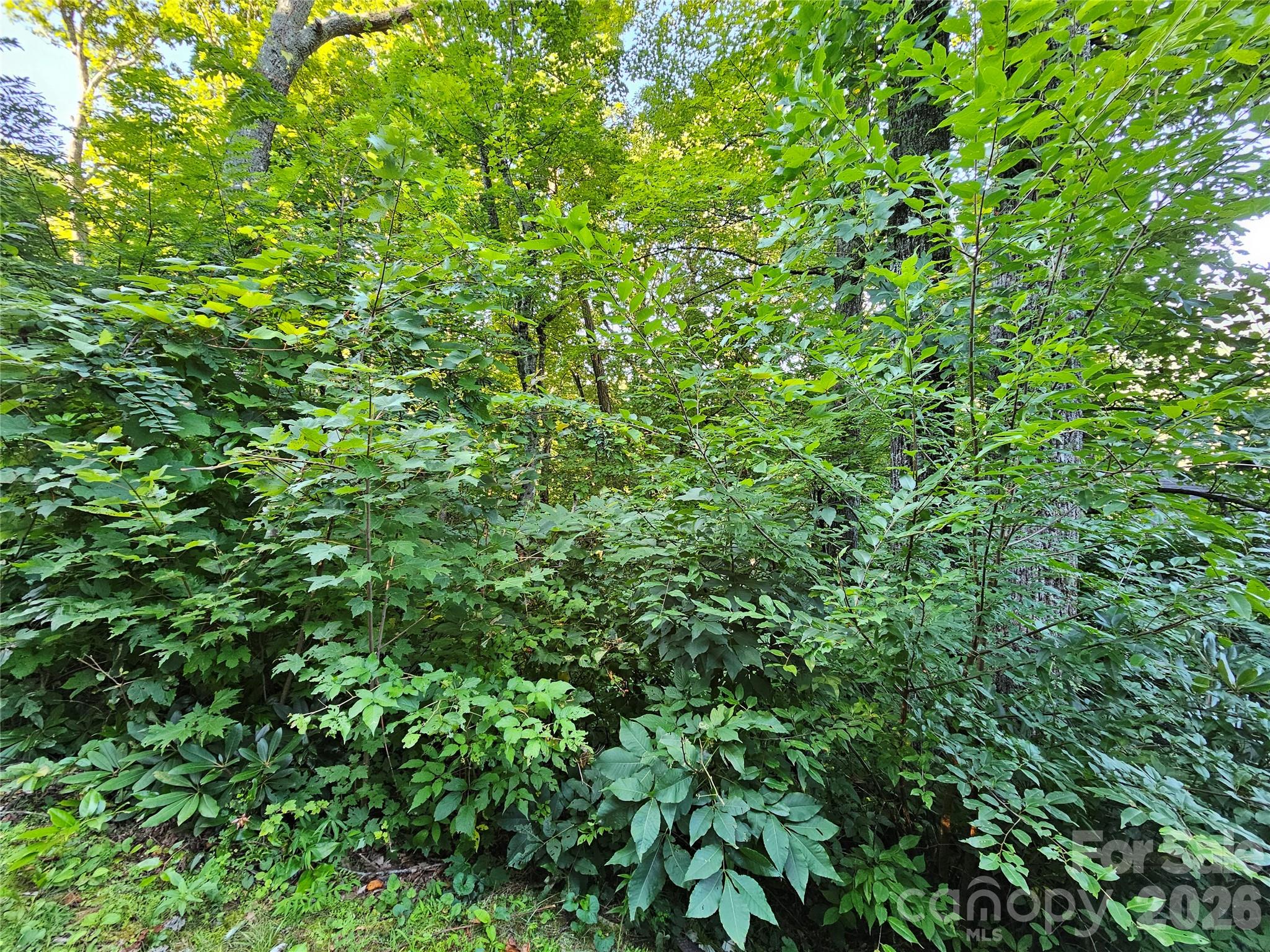 WOODED LOT - 102 Big Ridge Road, Burnsville