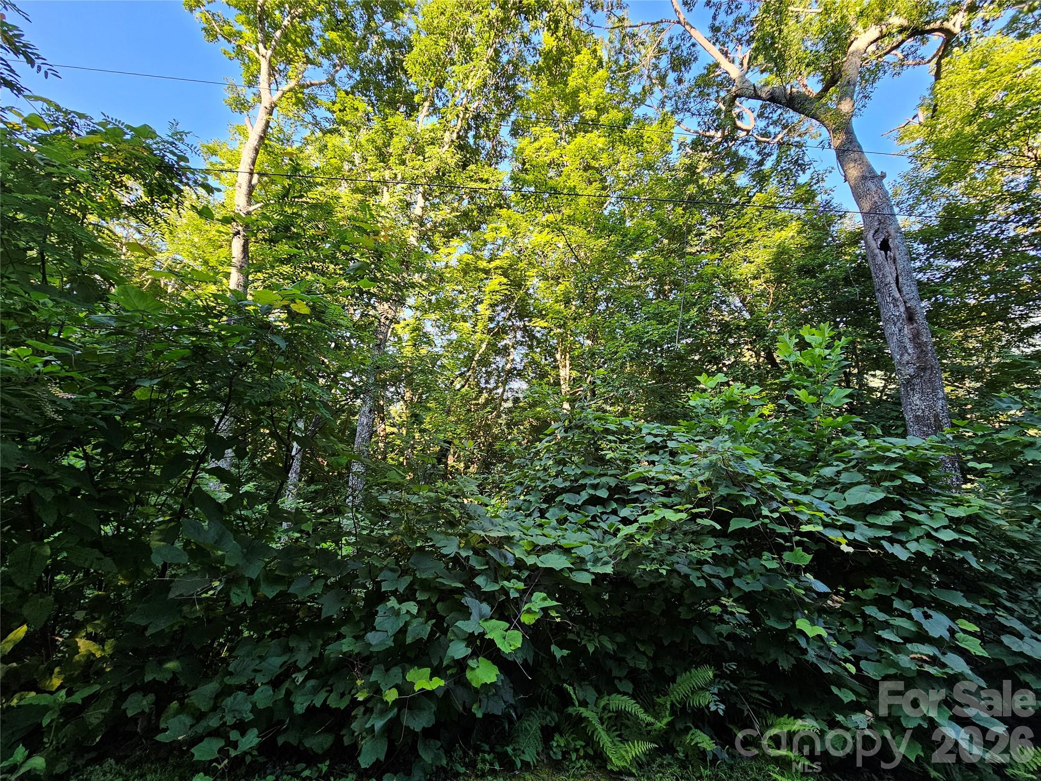 WOODED LOT - 102 Big Ridge Road, Burnsville