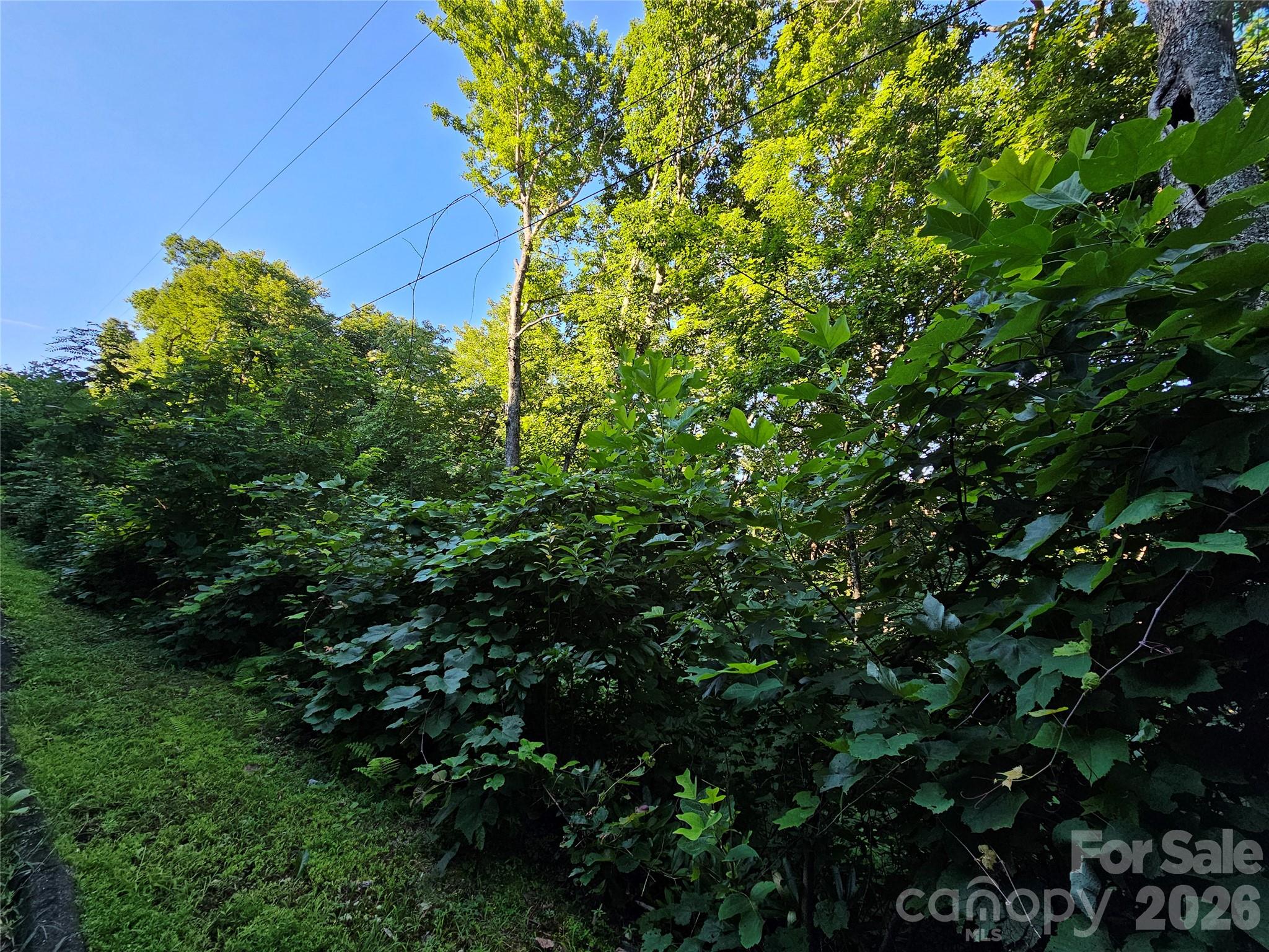 WOODED LOT,OVERHEAD POWER - 102 Big Ridge Road, Burnsville