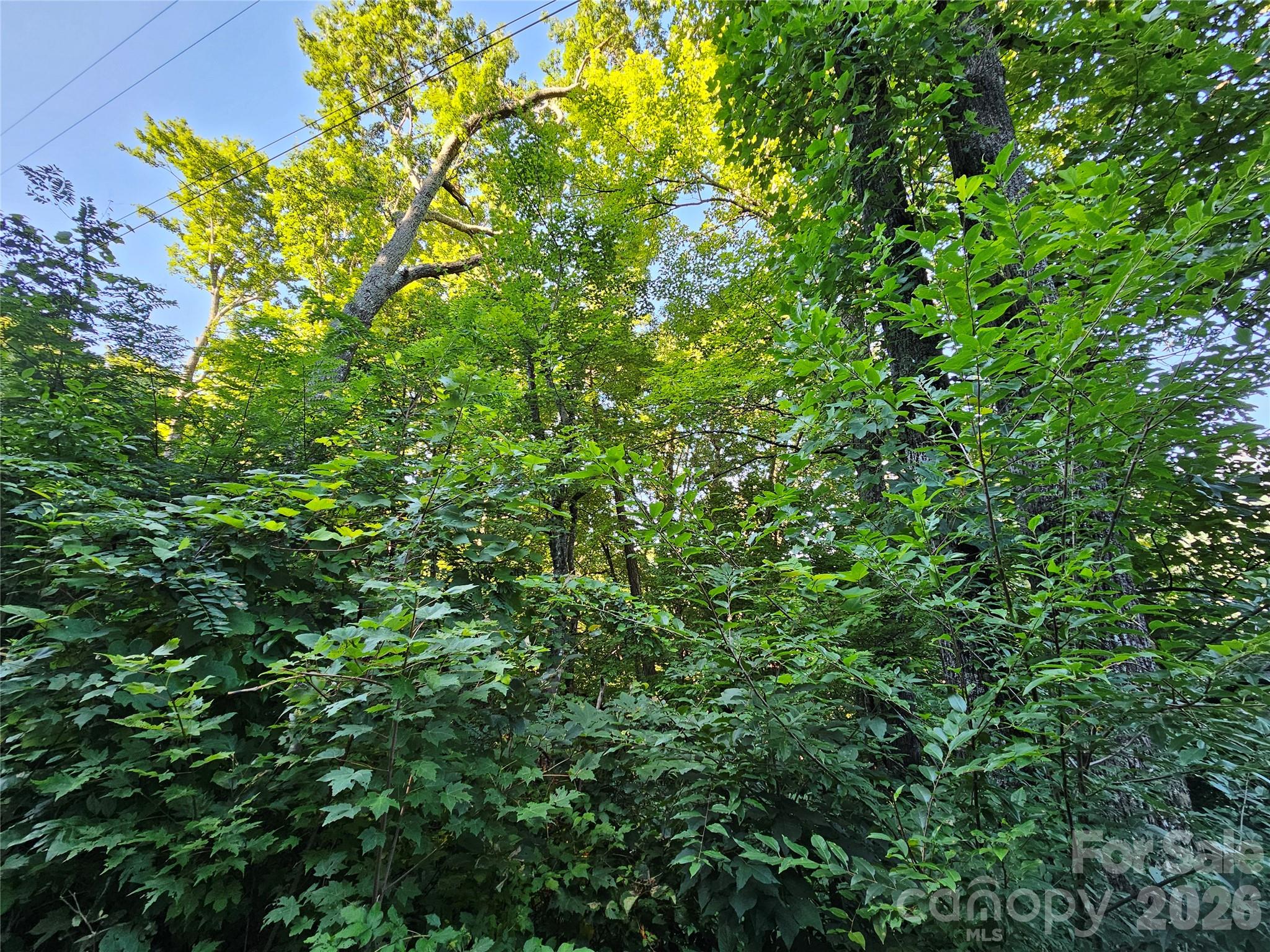 WOODED LOT - 102 Big Ridge Road, Burnsville