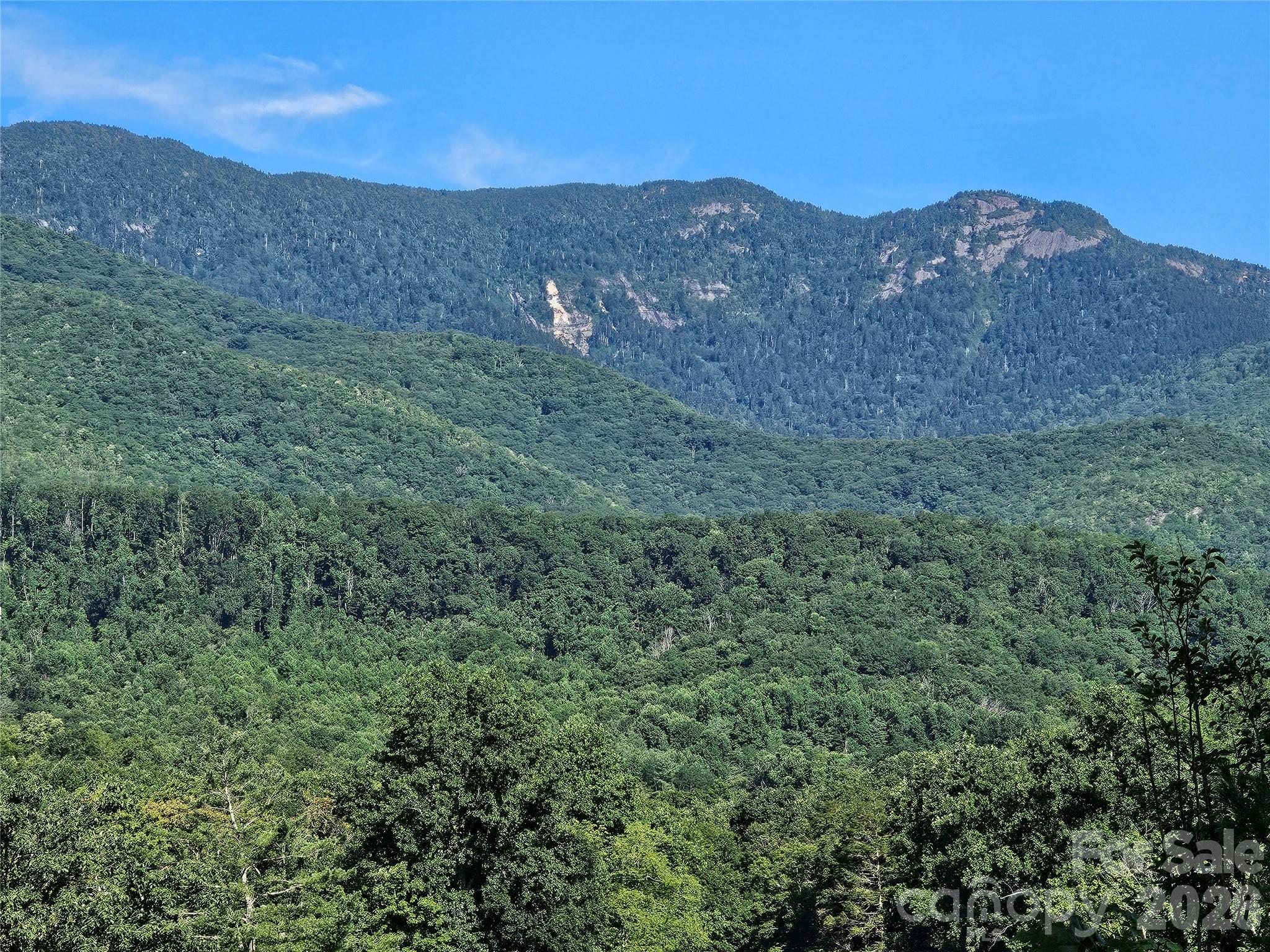 BLACK MOUNTAIN RANGE FROM HWY 80 - 102 Big Ridge Road, Burnsville
