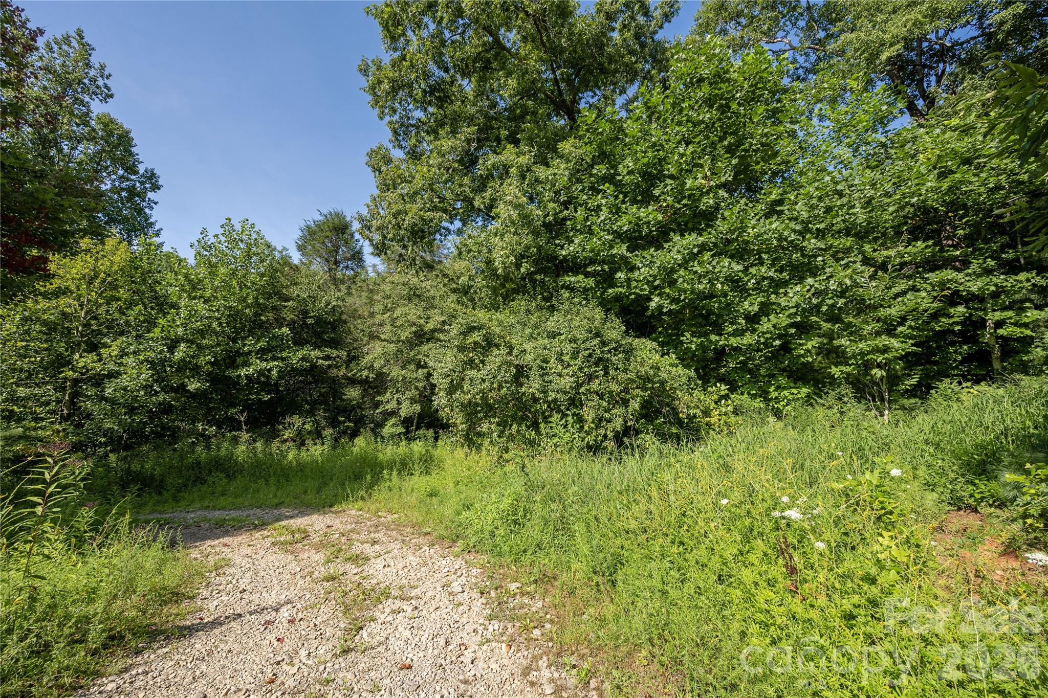 Acreage at TBD Whitewater Road, Sapphire, photo 11 of 12