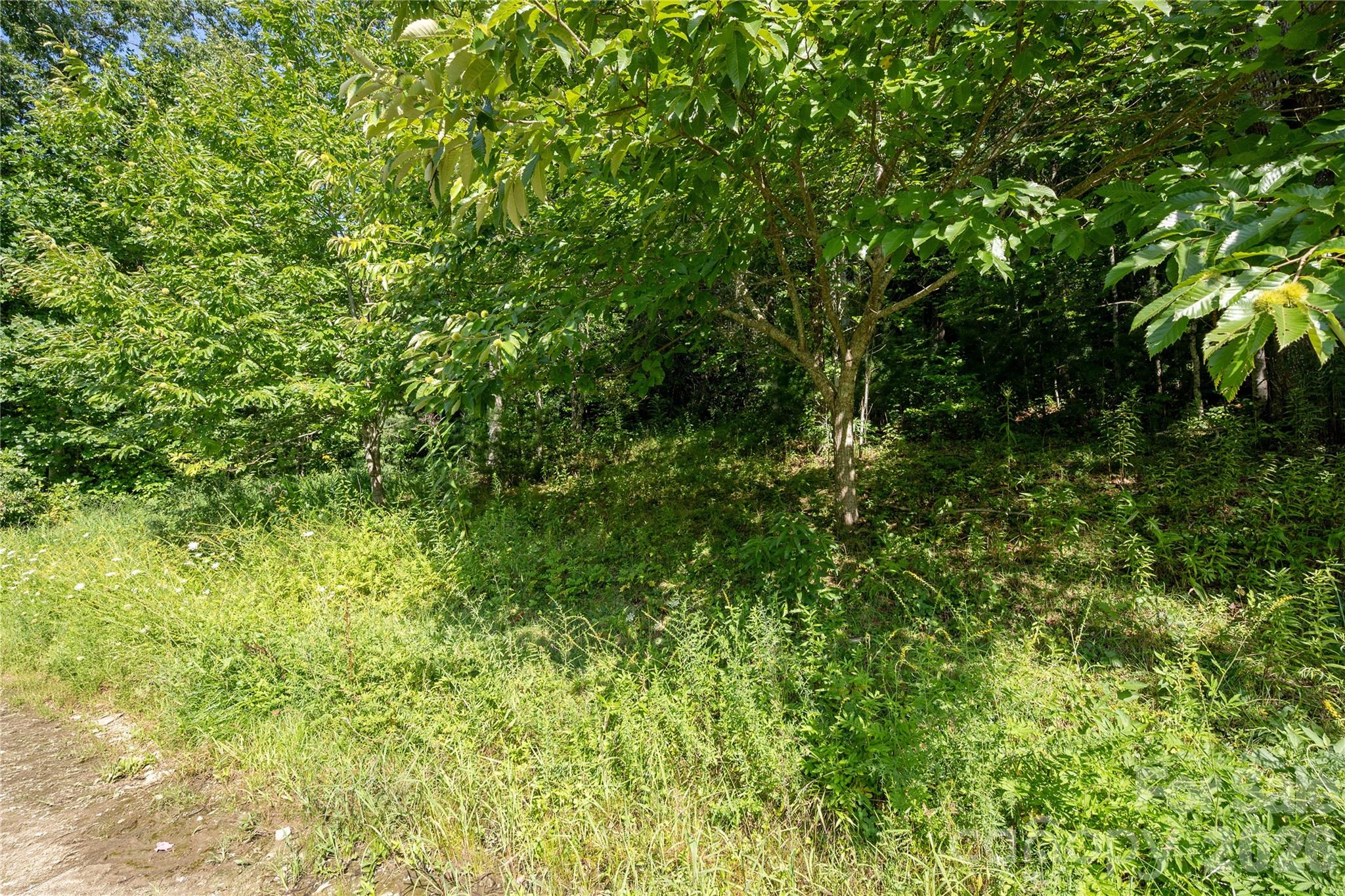 Acreage at TBD Whitewater Road, Sapphire, photo 12 of 12