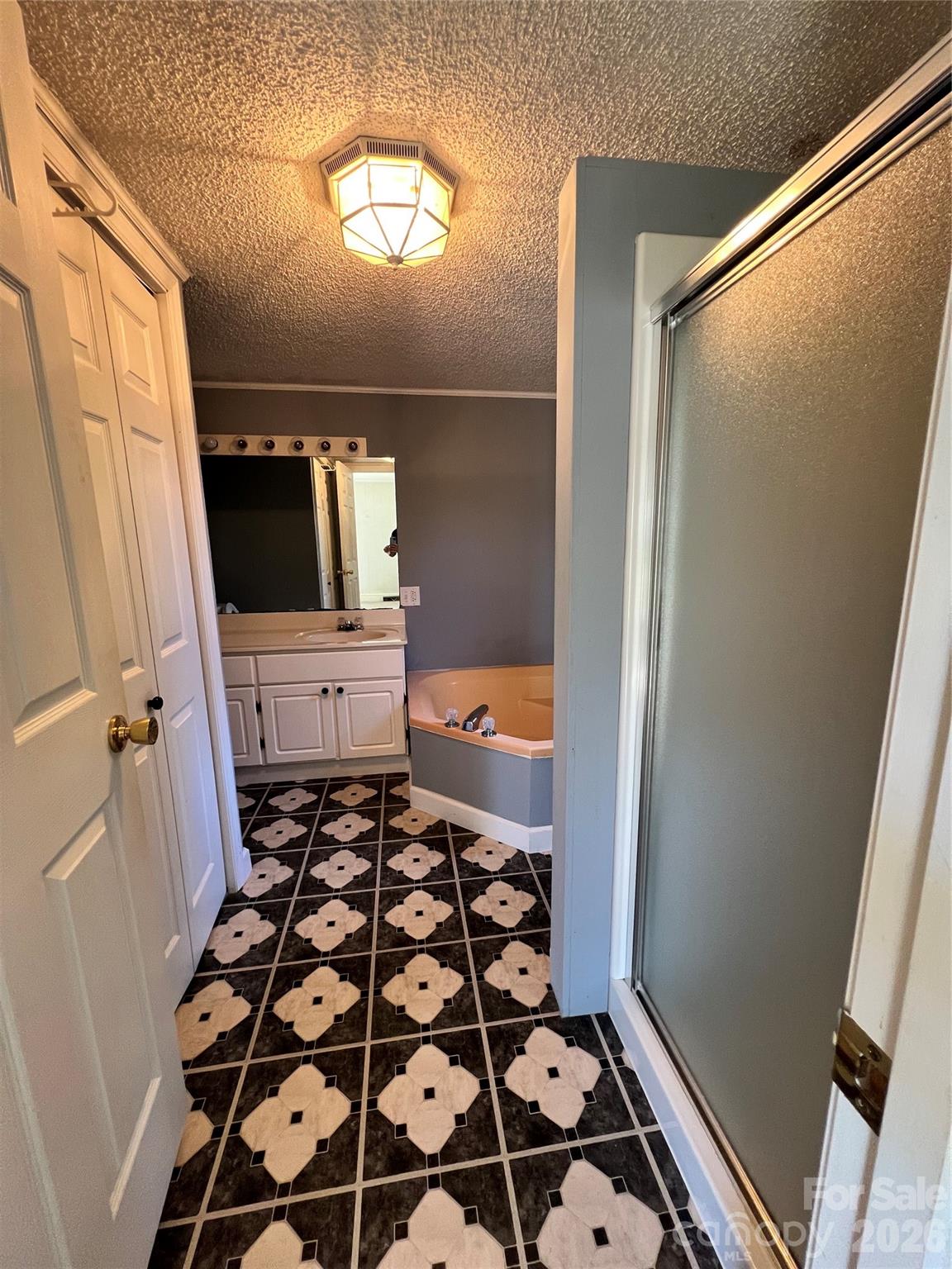 Primary Bathroom - 443 Smith Street, Albemarle