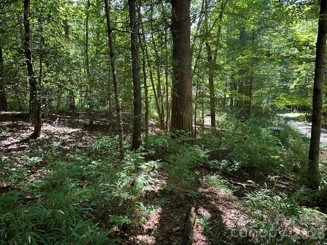 Lot at TBD Blossom Road, Brevard, photo 2 of 8
