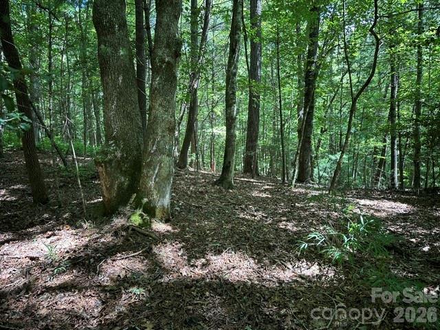 Lot at TBD Blossom Road, Brevard, photo 3 of 8