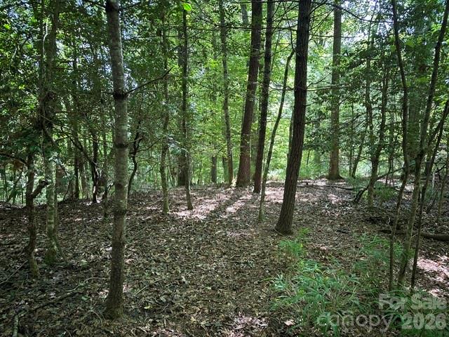 Lot at TBD Blossom Road, Brevard, photo 4 of 8
