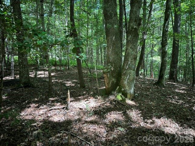 Lot at TBD Blossom Road, Brevard, photo 5 of 8
