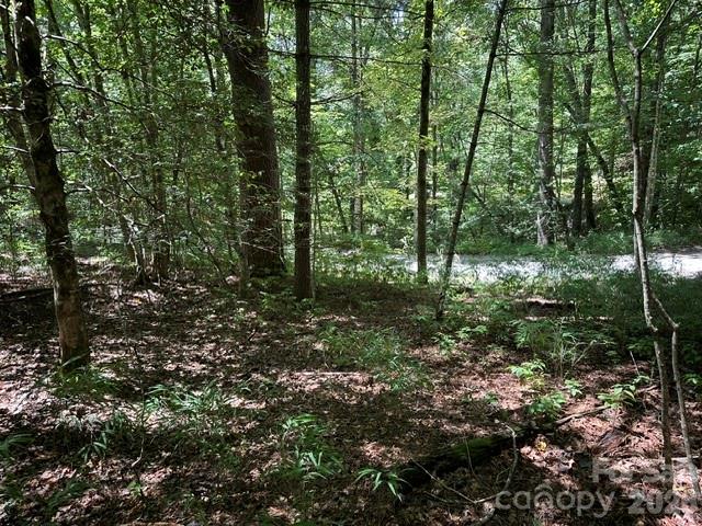 Lot at TBD Blossom Road, Brevard, photo 6 of 8