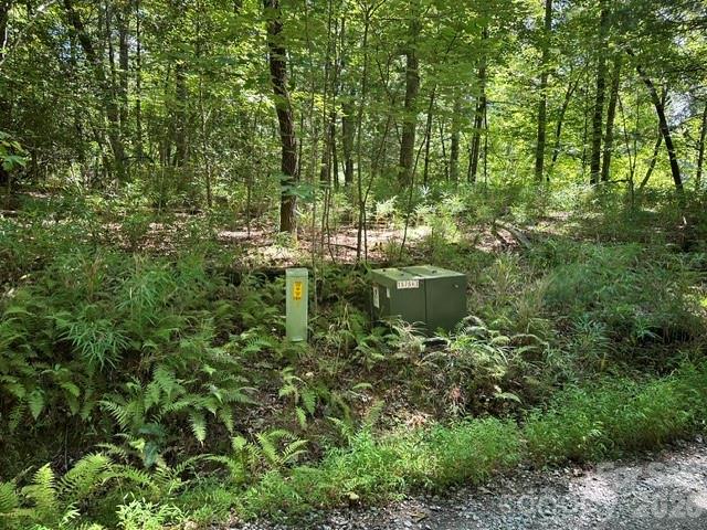 Lot at TBD Blossom Road, Brevard, photo 7 of 8