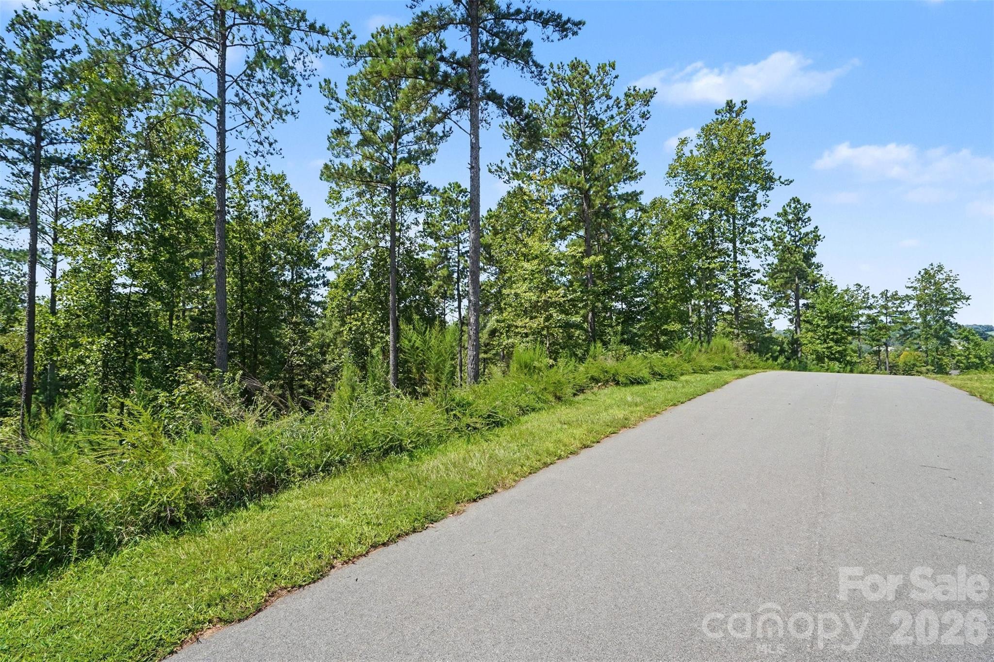 Lot at 3131 Belford Trail, Connelly Springs, photo 16 of 48
