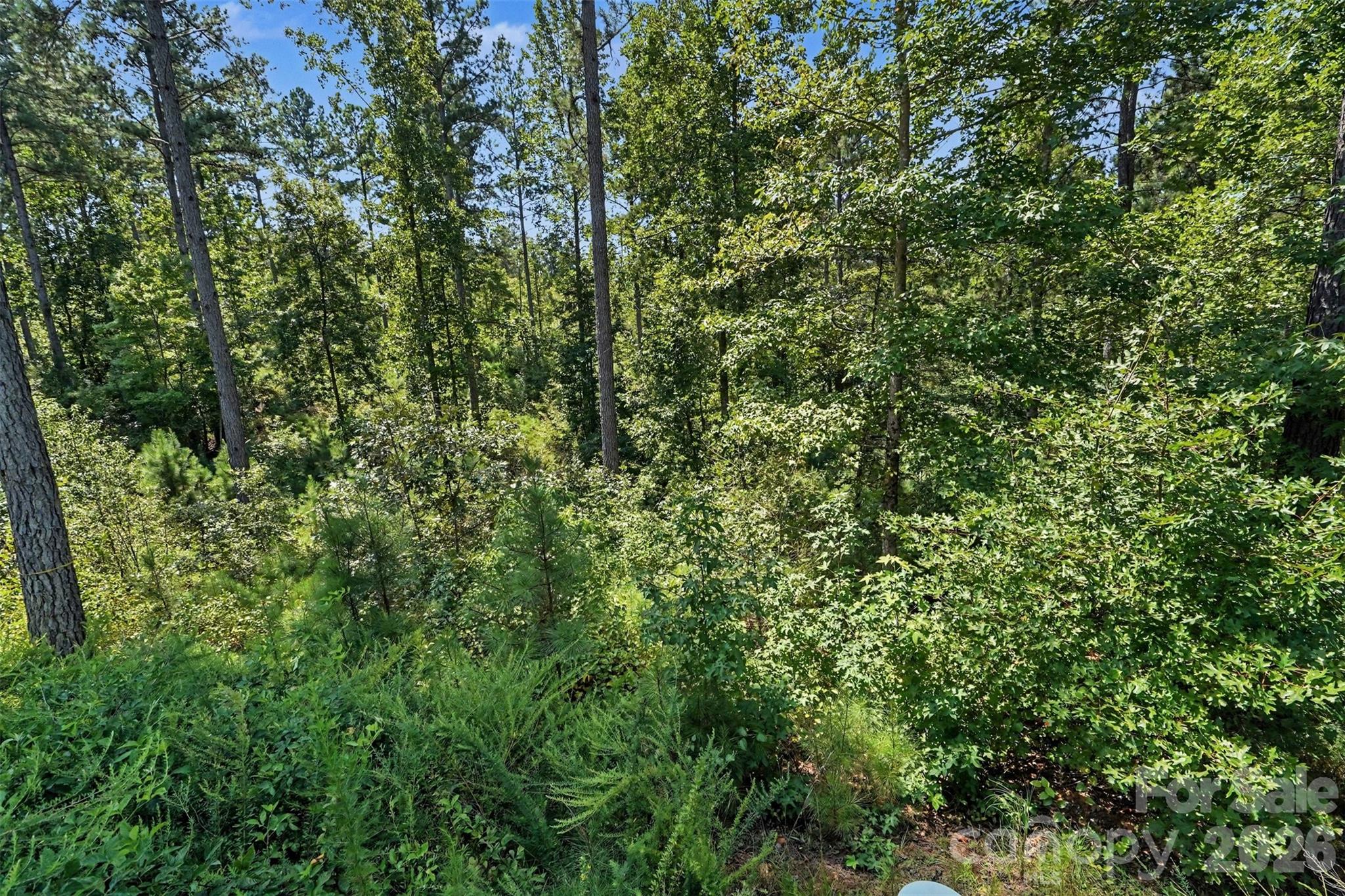 Lot at 3131 Belford Trail, Connelly Springs, photo 18 of 48