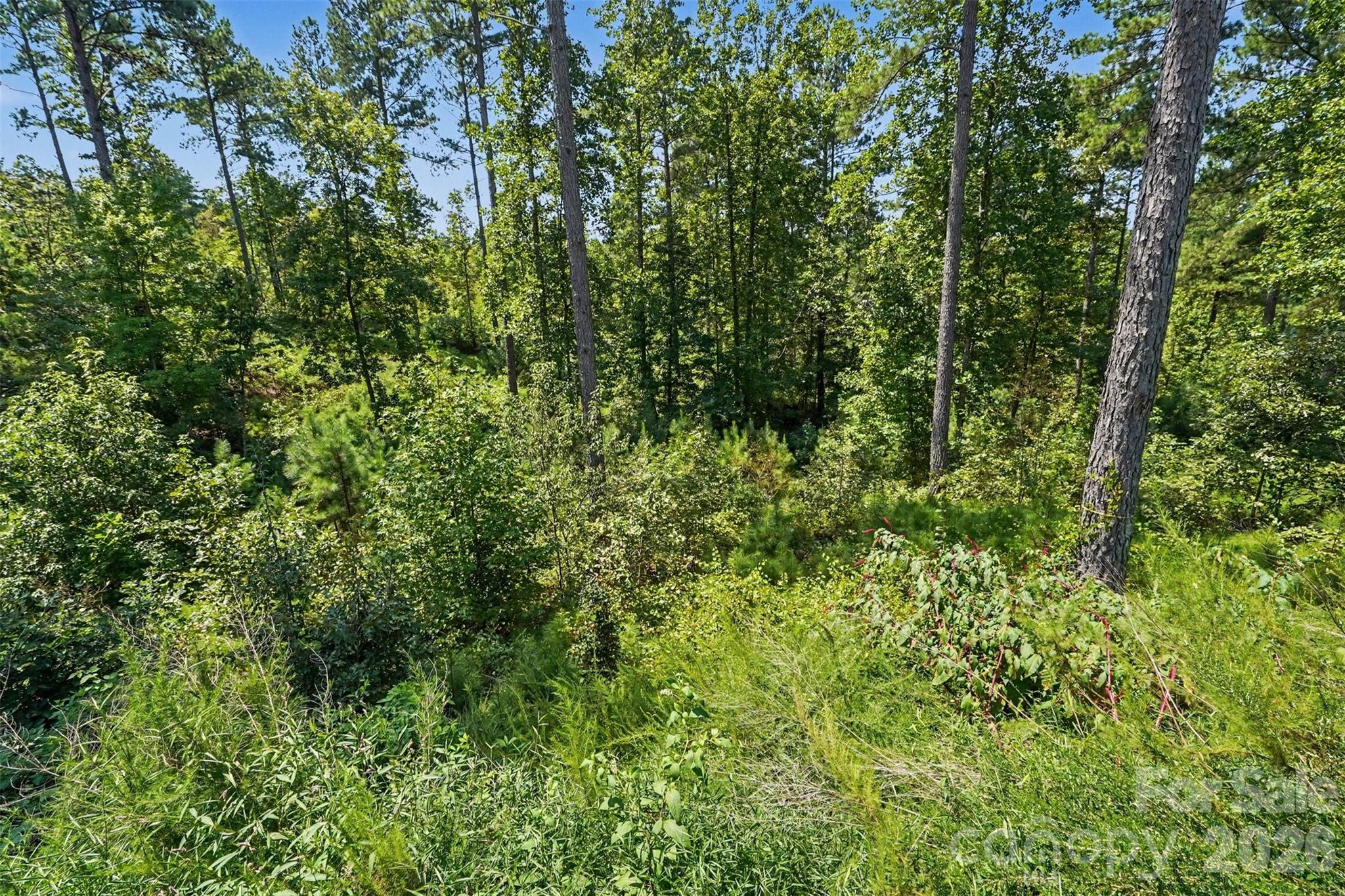 Lot at 3131 Belford Trail, Connelly Springs, photo 36 of 48