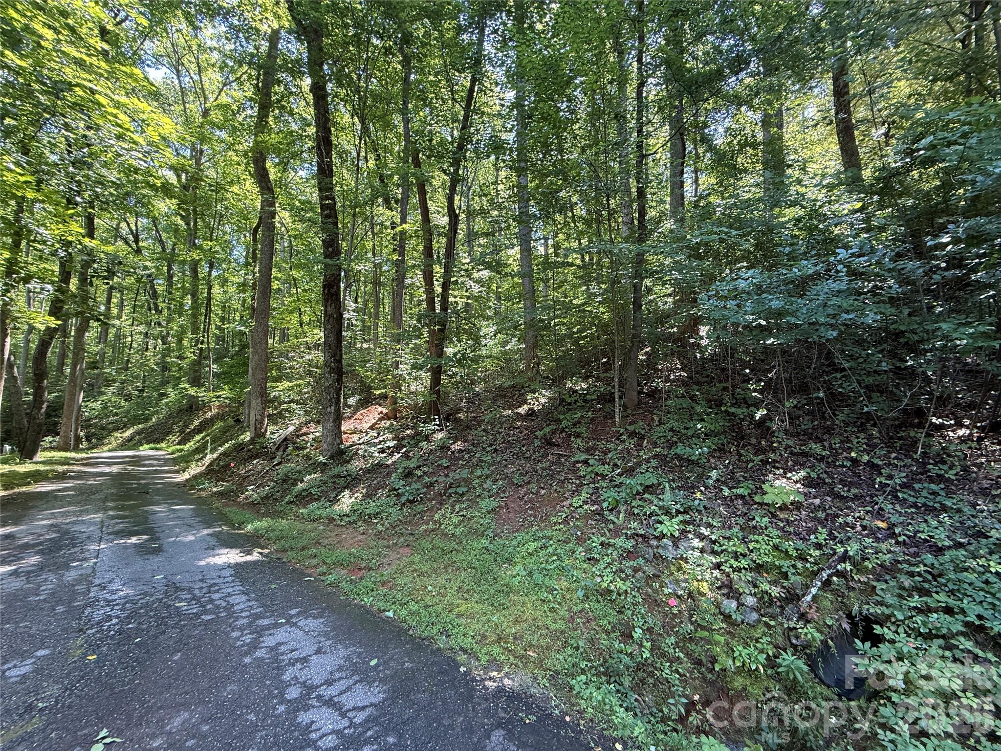 Lot 114 High Pines Loop. Vista At Bills Mountain - Lot 114 High Pines Loop, Lake Lure